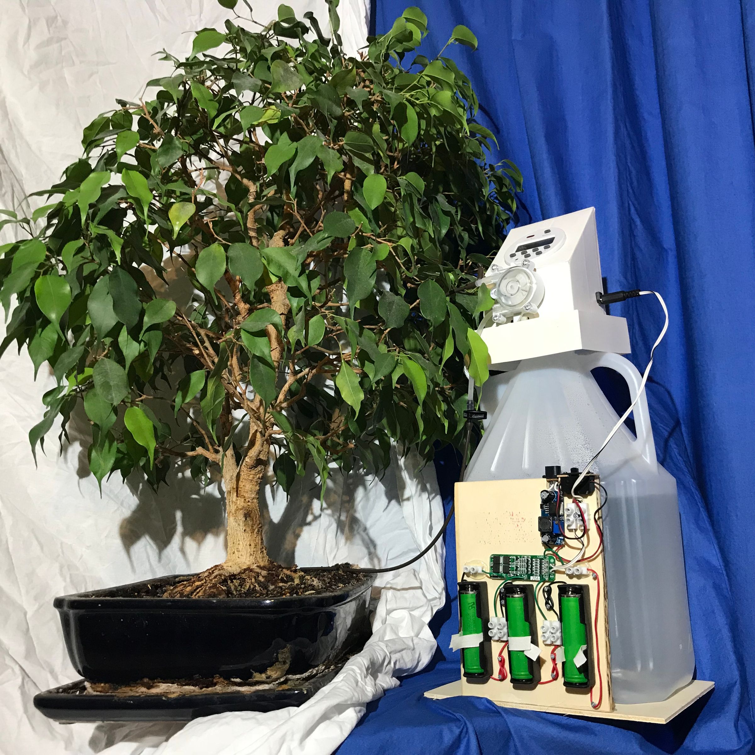 Automated Bonsai Watering With Salvaged 18650 Cells 5 Steps