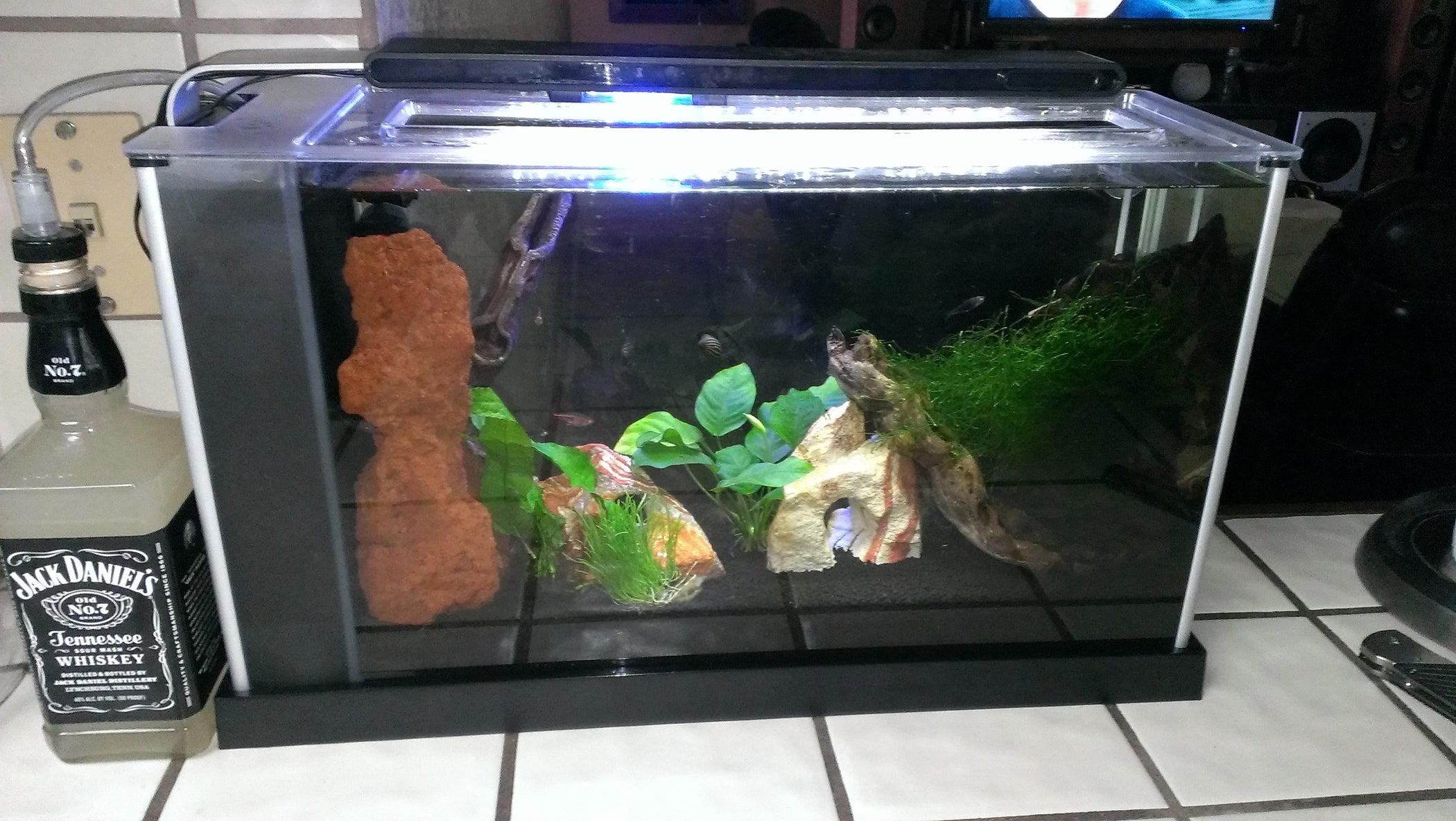 How to Make a Planted Aquarium CO2 Generator/Infuser 5 Steps (with