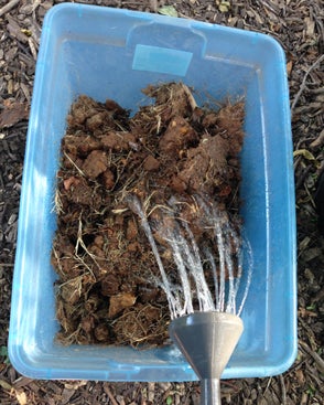 Going for Bulk - Colete e mergulhe a argila na água...