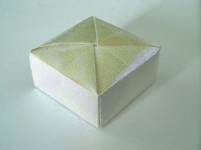 Origami Box With Interlocking Flaps : 3 Steps (with Pictures ...
