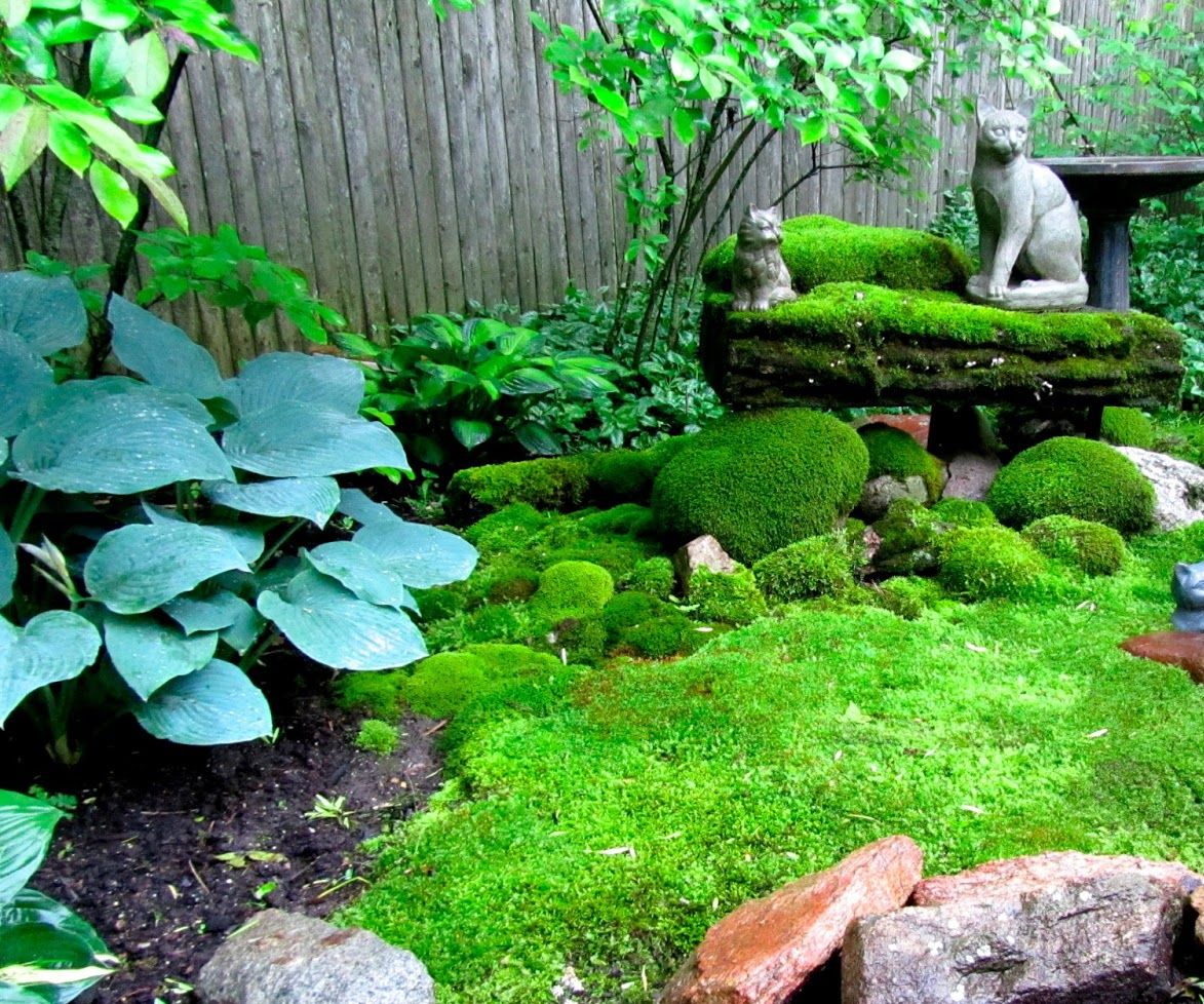 Pacific Northwest Terrarium Moss Green Moody Landscape 