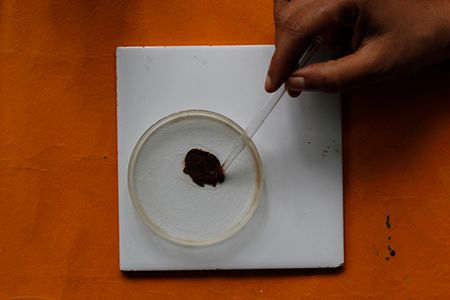 Denaturation of Protein : 10 Steps (with Pictures) - Instructables