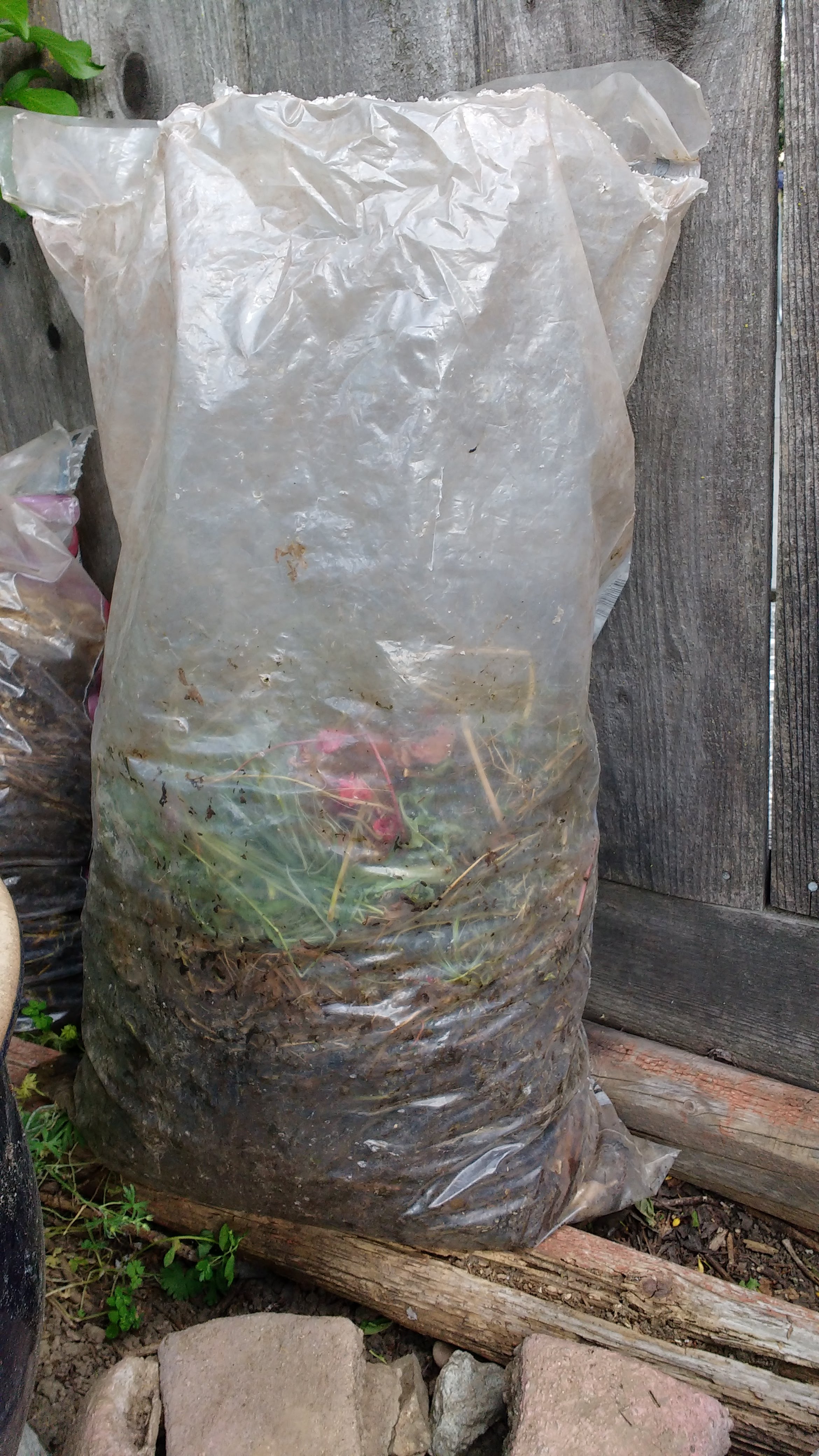 Turn Weed(s) Into Feed 3 Steps (with Pictures) Instructables