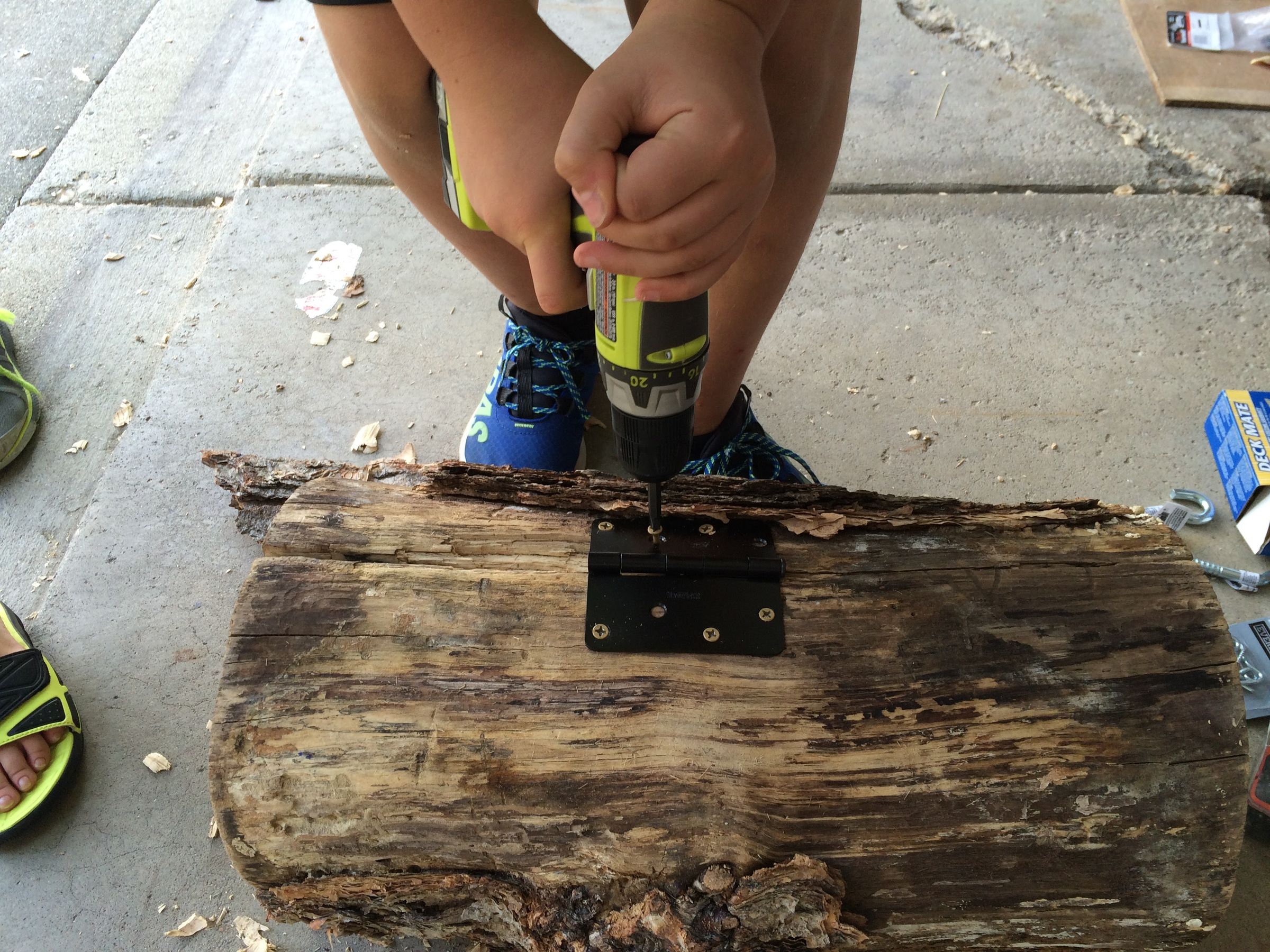 Red-Headed Woodpecker Nesting Box : 7 Steps (with Pictures) - Instructables