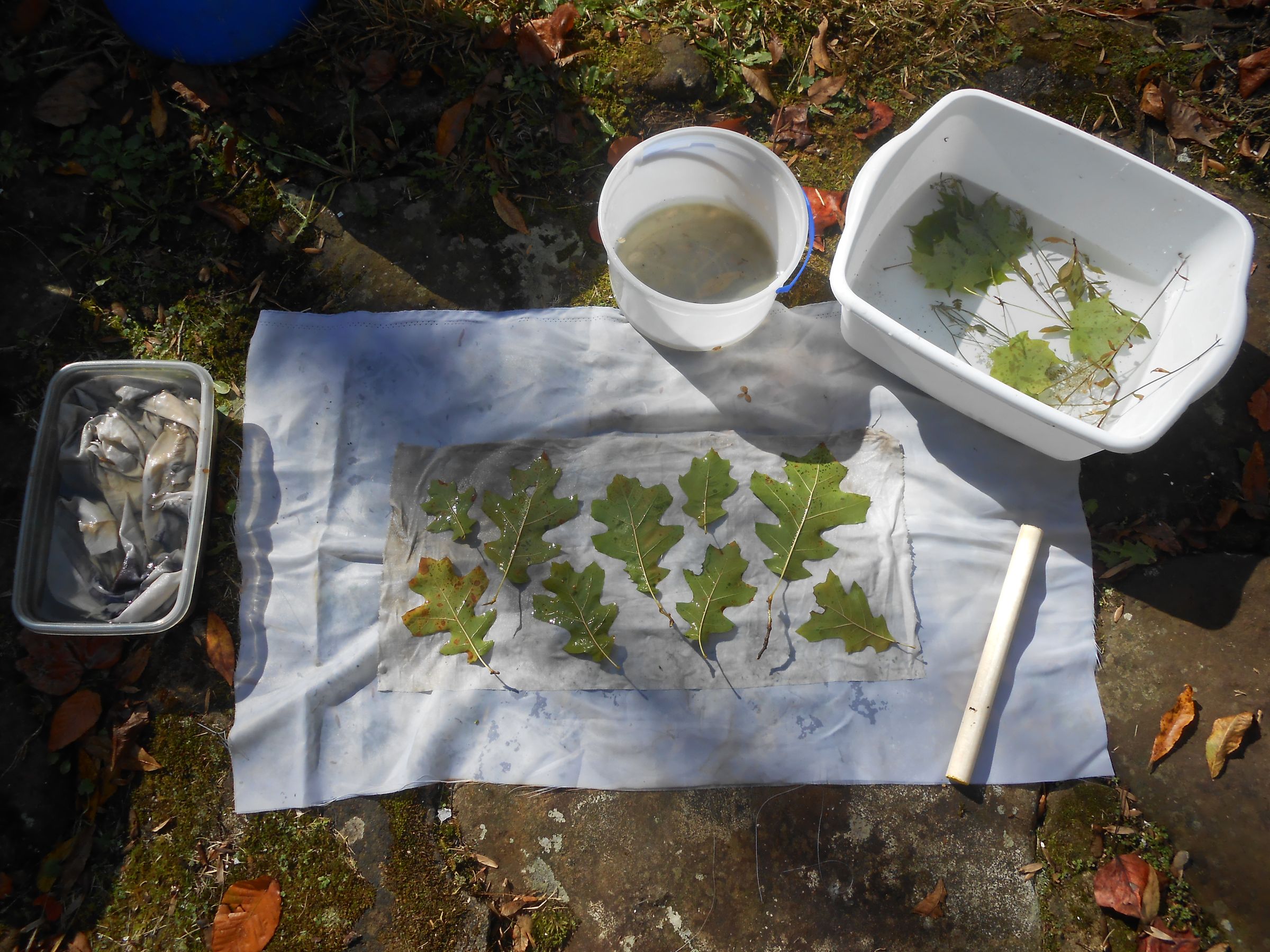 EcoPrinting With Rust & Vinegar 6 Steps (with Pictures) Instructables