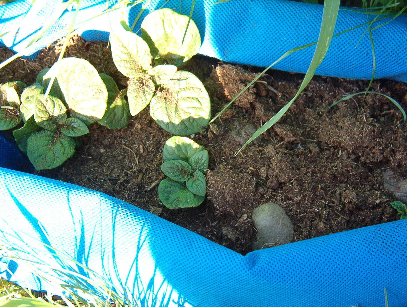 Potato Bags From Recycled Plastics 4 Steps Instructables