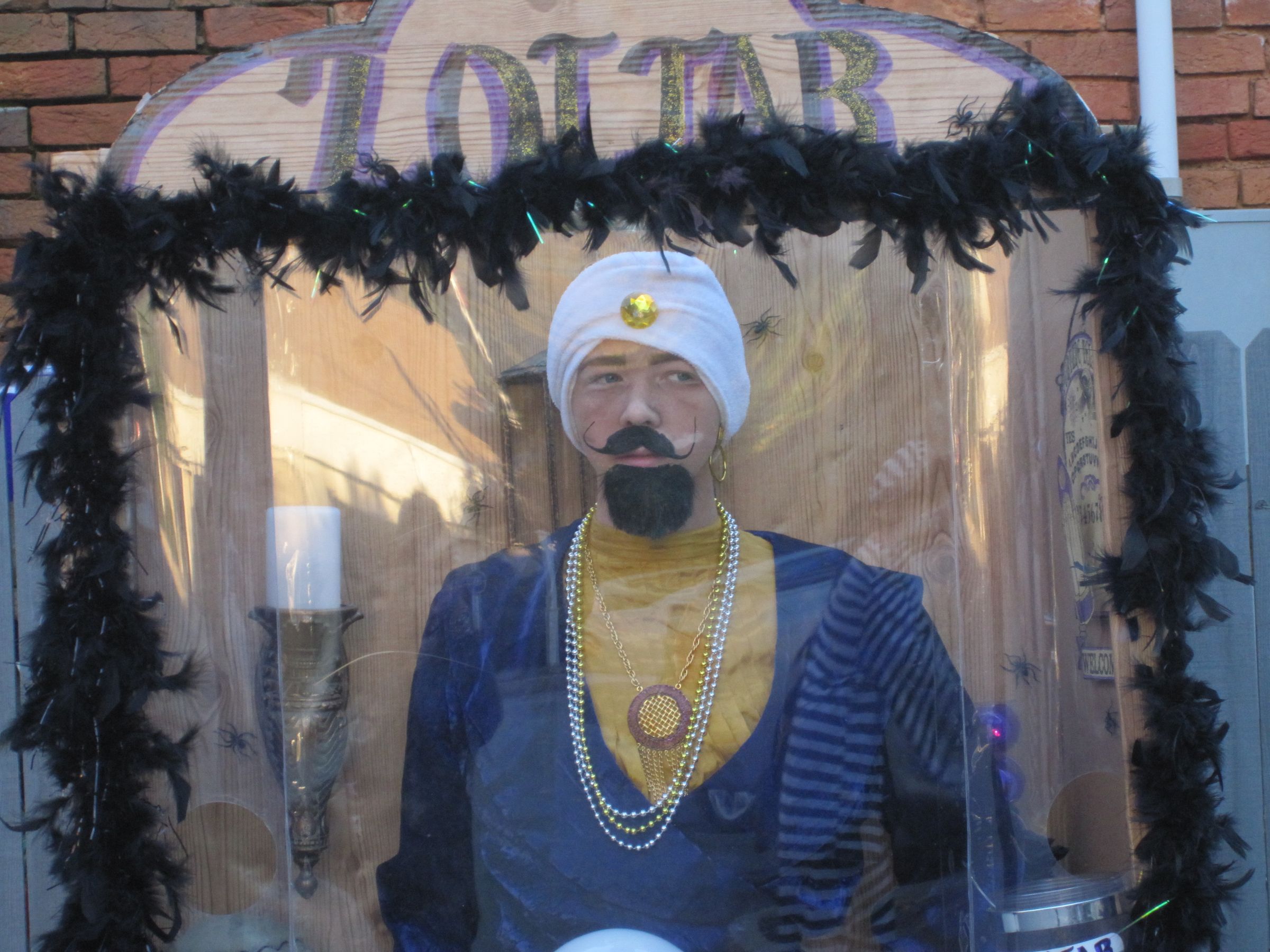 zoltar costume DIY Project DIY Project Image