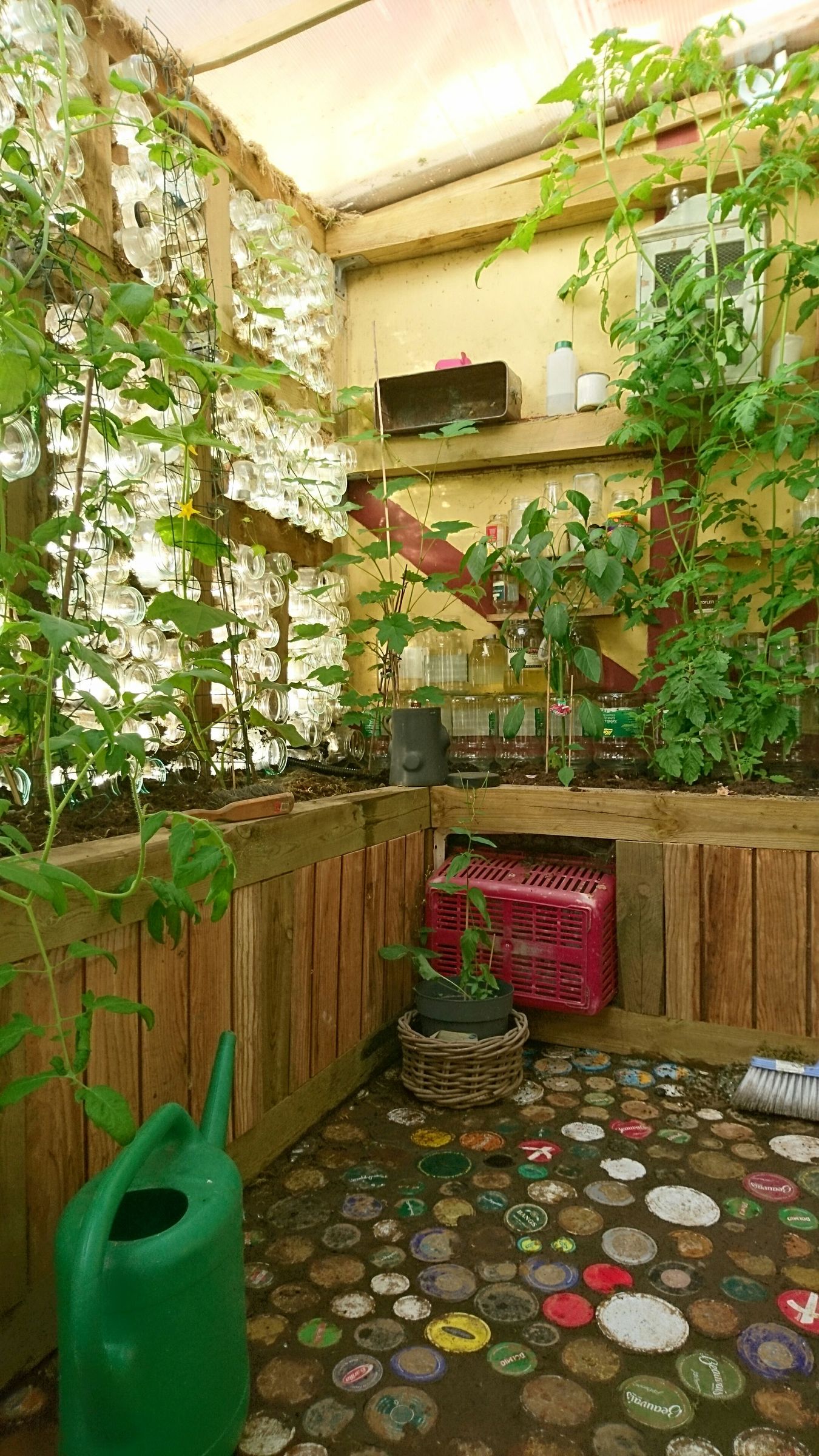 Glass Jar Greenhouse 5 Steps (with Pictures) Instructables