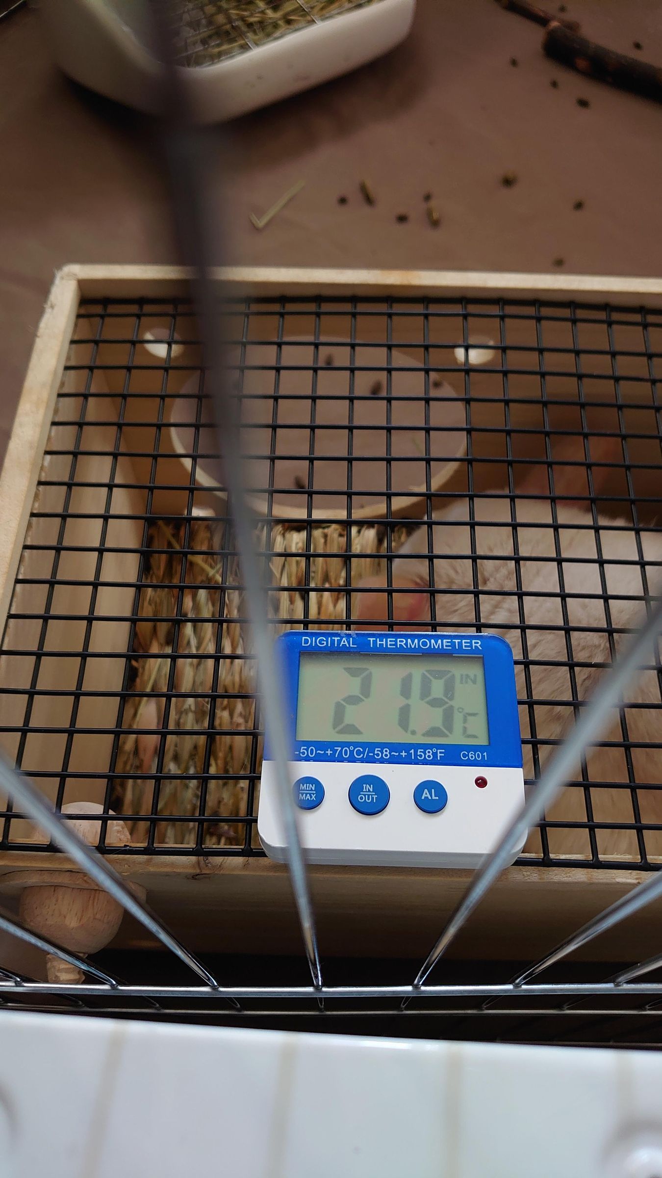 Pet Chinchilla Air Conditioner 4 Steps (with Pictures) Instructables