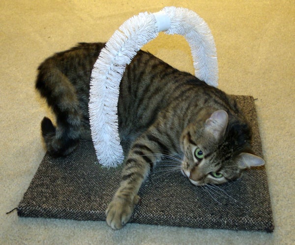 Self Petting Station