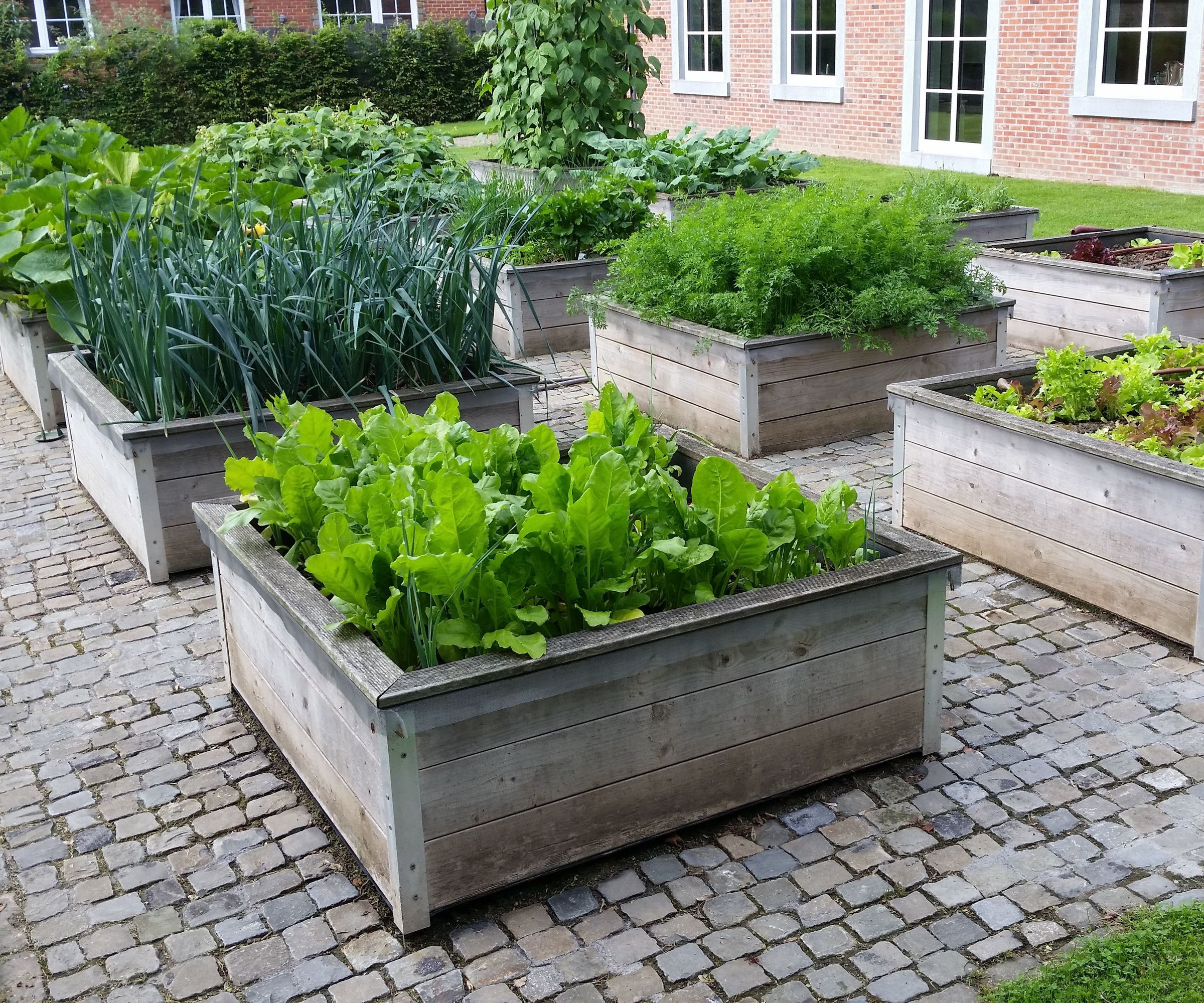Square Foot Vegetable Garden