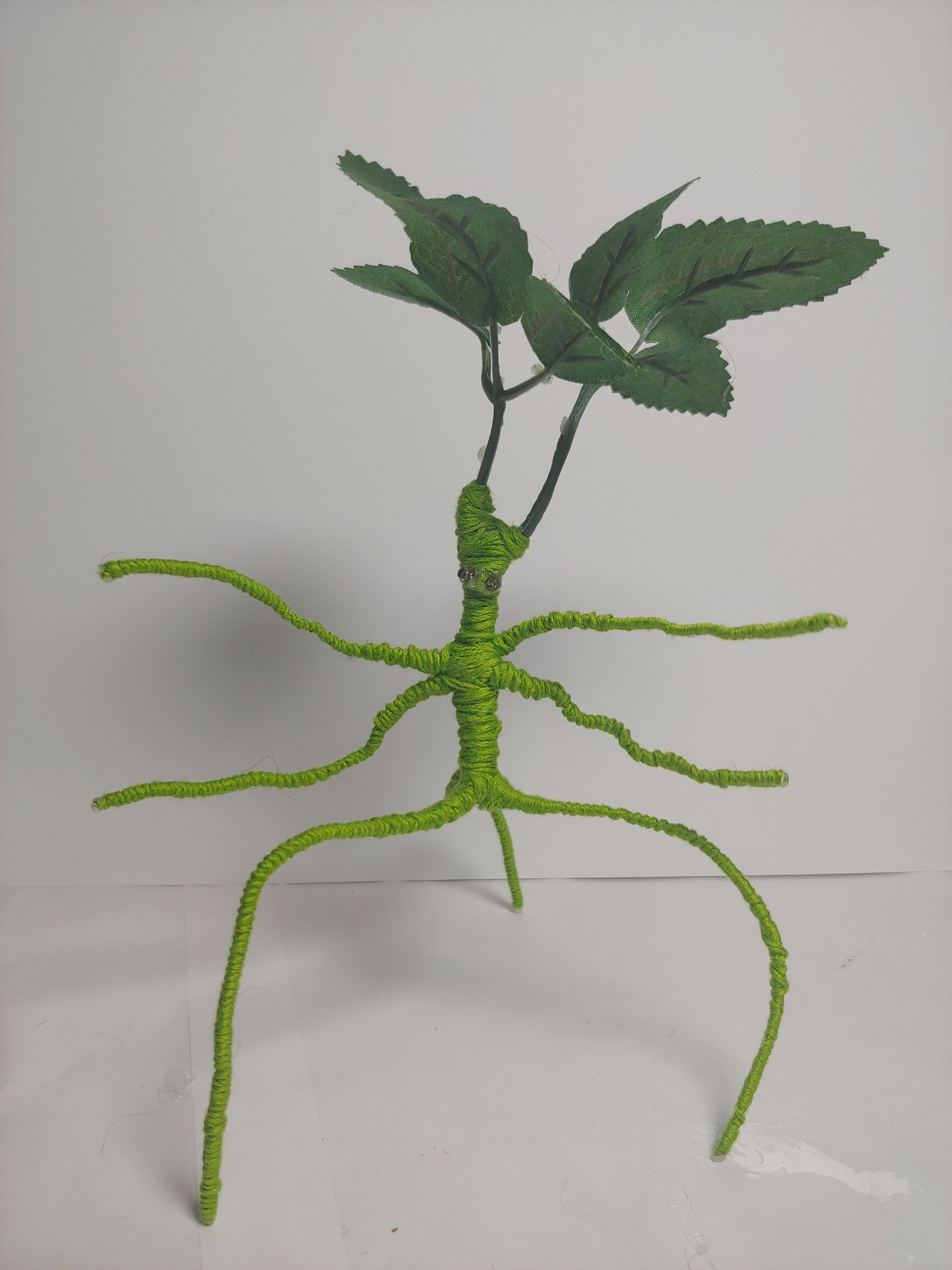 Make Your Own Fantastic Beast Bowtruckle Edition 12 Steps Instructables