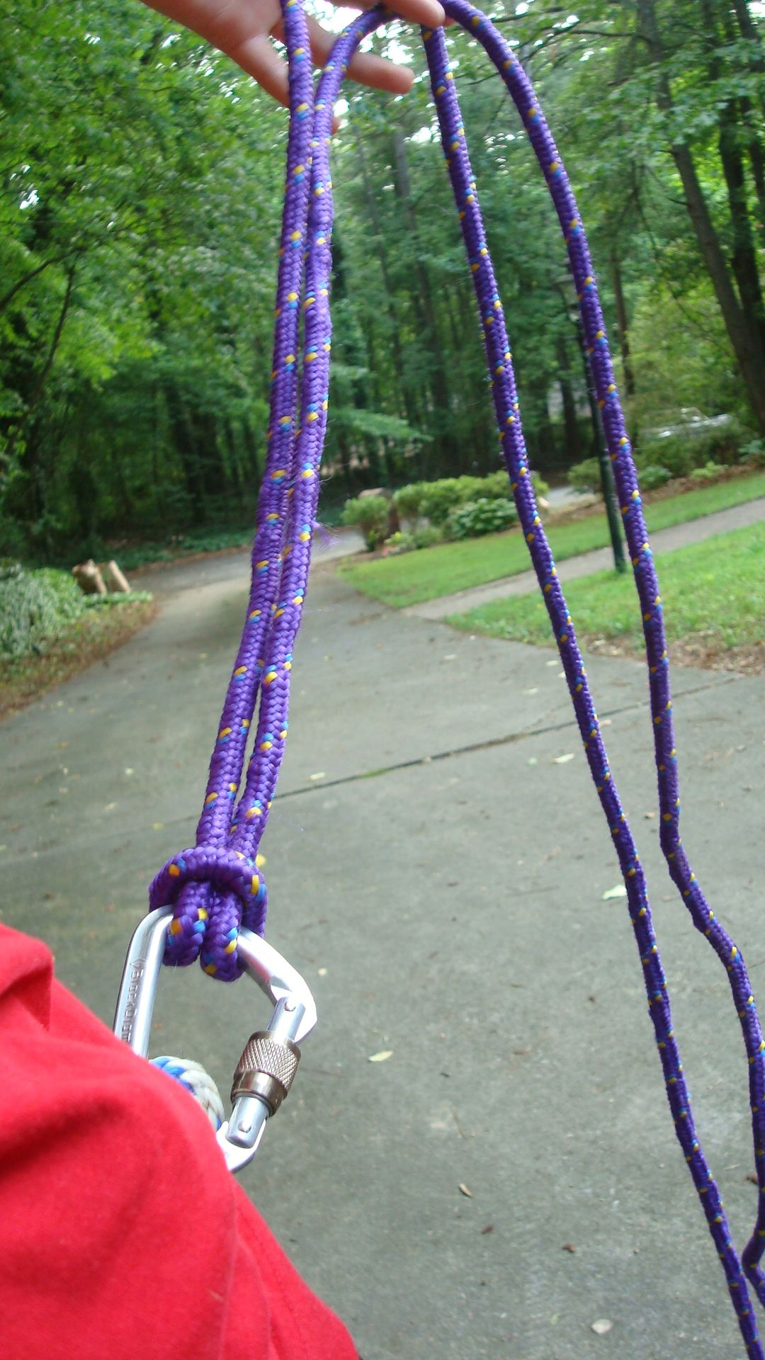 How to Climb a Tree (using Only Rope!) the Fun/simple Way 6 Steps