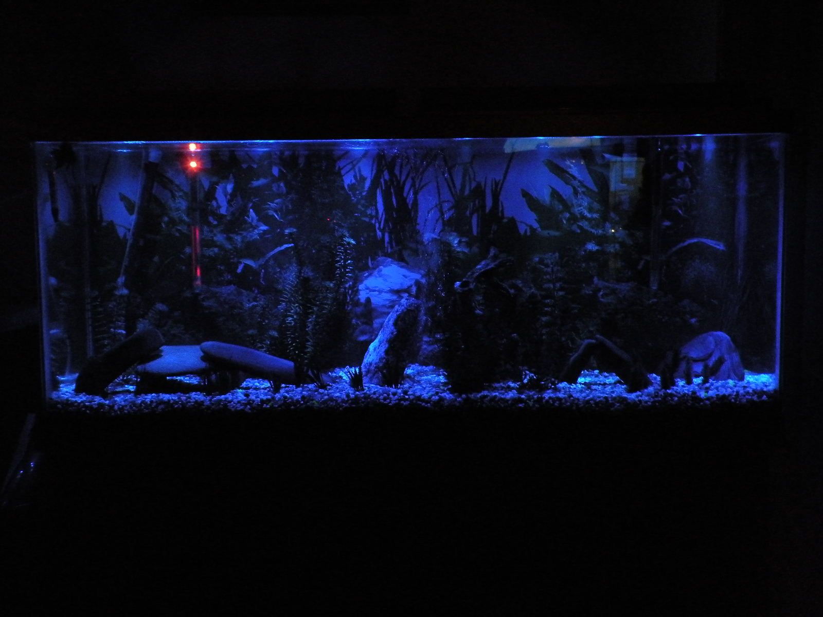 LED Aquarium Moonlights 13 Steps Instructables