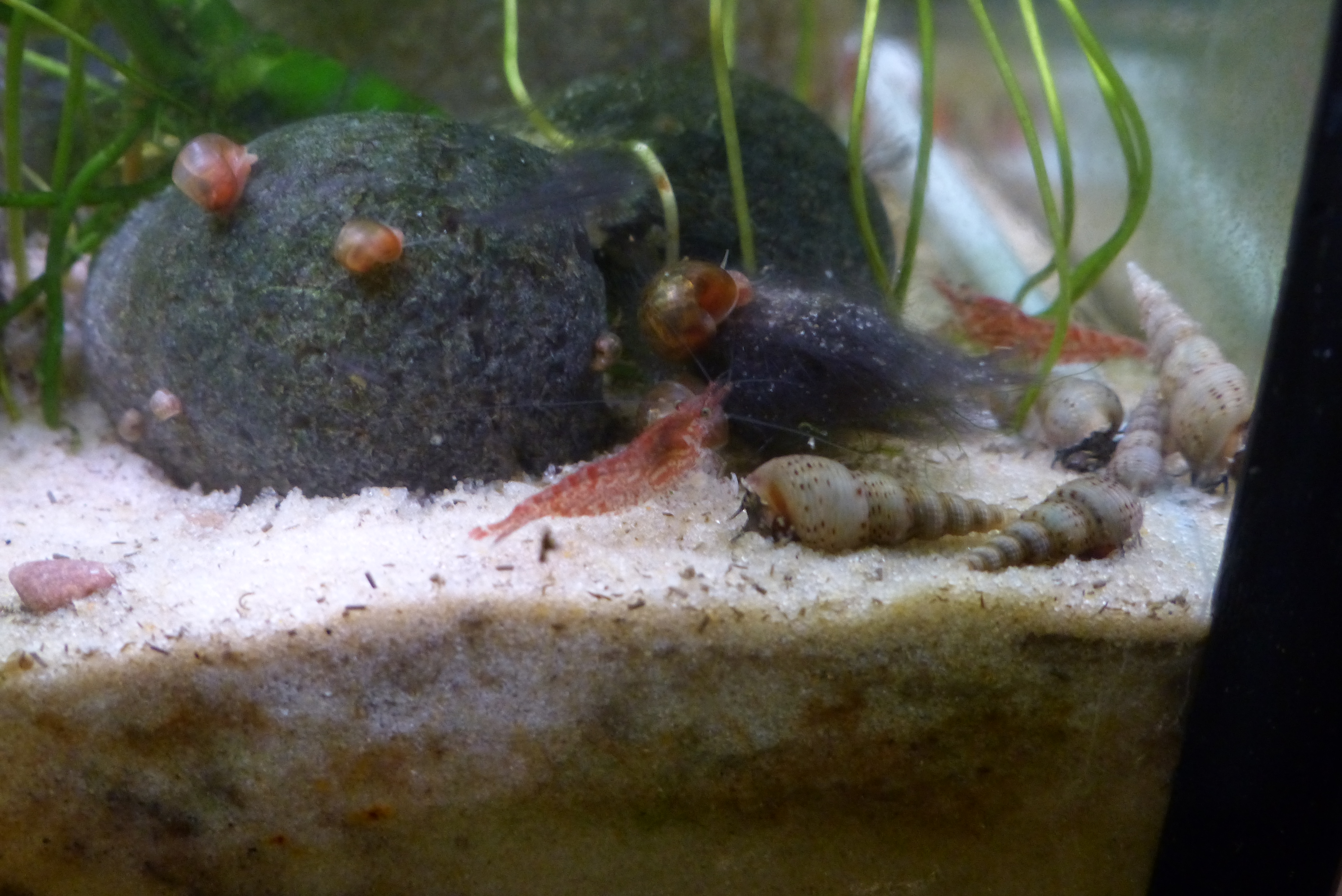 Drink Dispenser Aquarium 3 Steps (with Pictures) Instructables