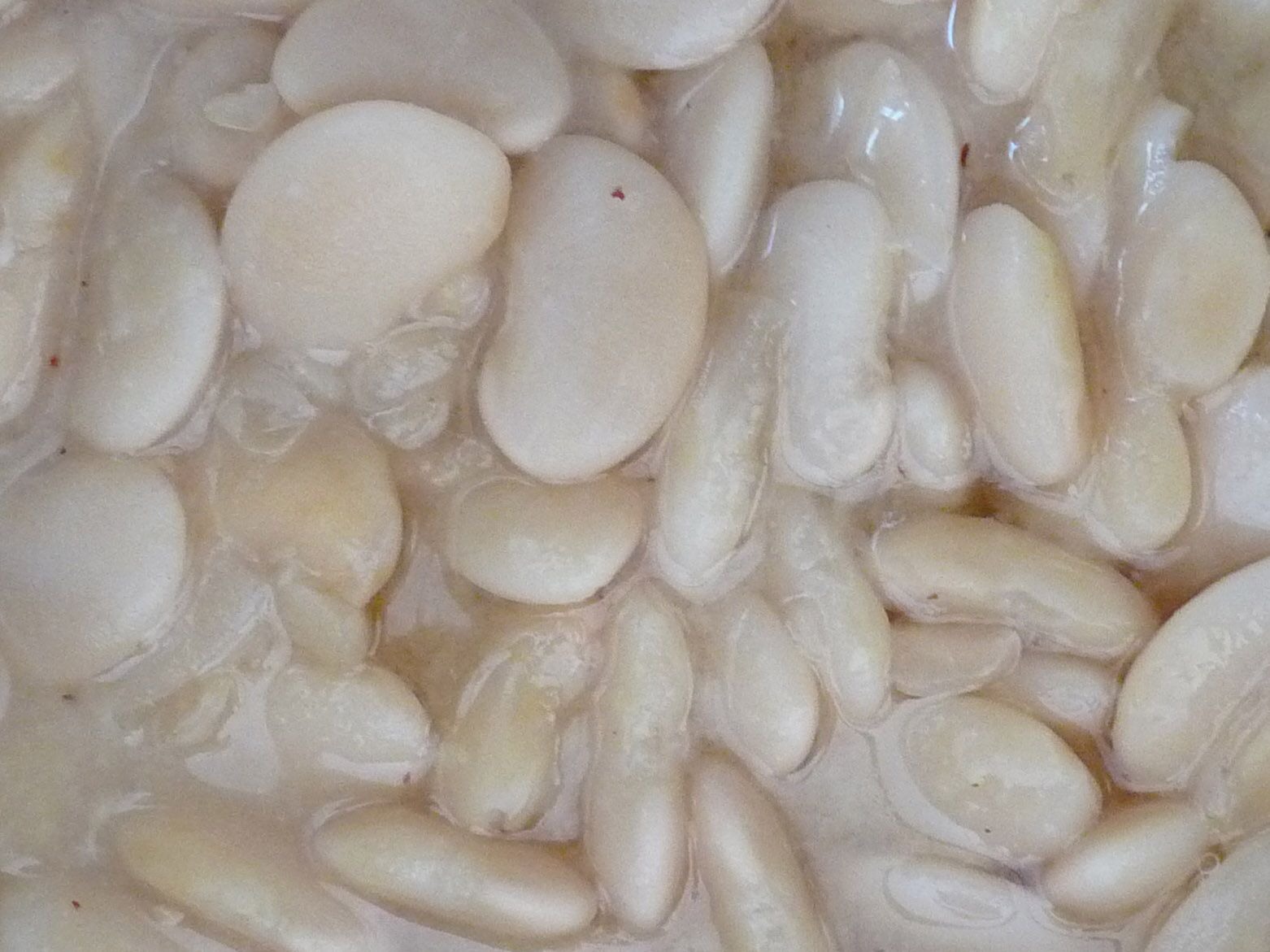 Easy Vegan Lima Beans From Scratch