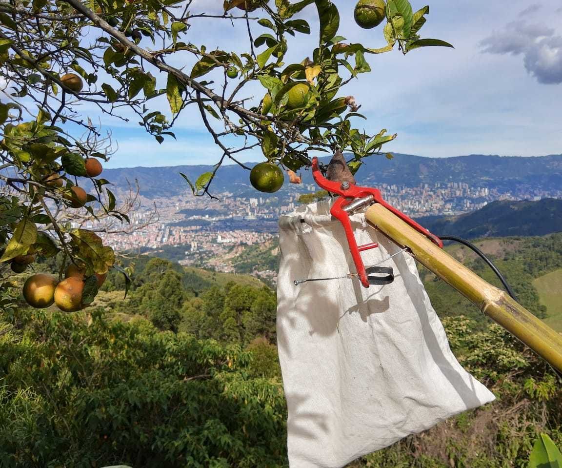 Assisted Fruit Picker With Scrap 4 Steps (with Pictures) Instructables