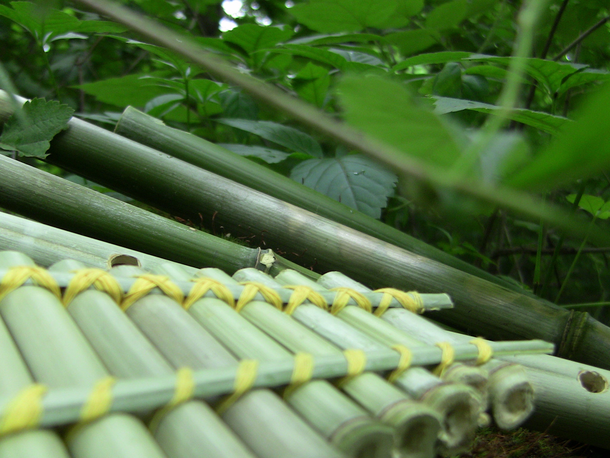 Make 4 Easy Bamboo Flutes for Free! 7 Steps (with Pictures) Instructables