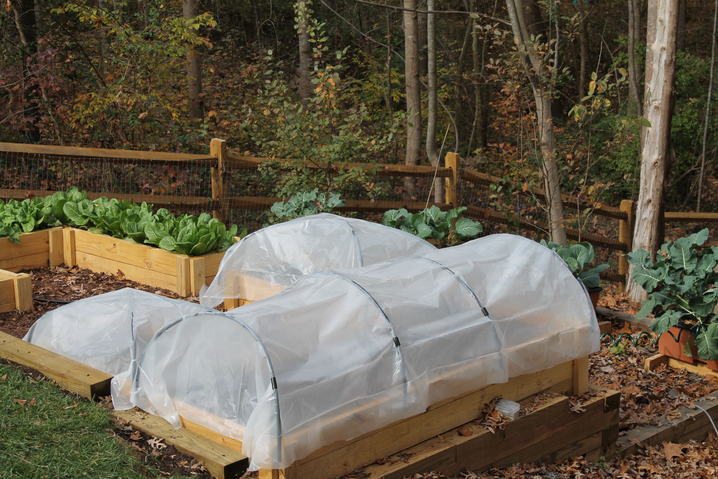 Simple Hoop Houses for Raised Beds 5 Steps (with Pictures