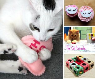 cat projects DIY Project DIY Project Image