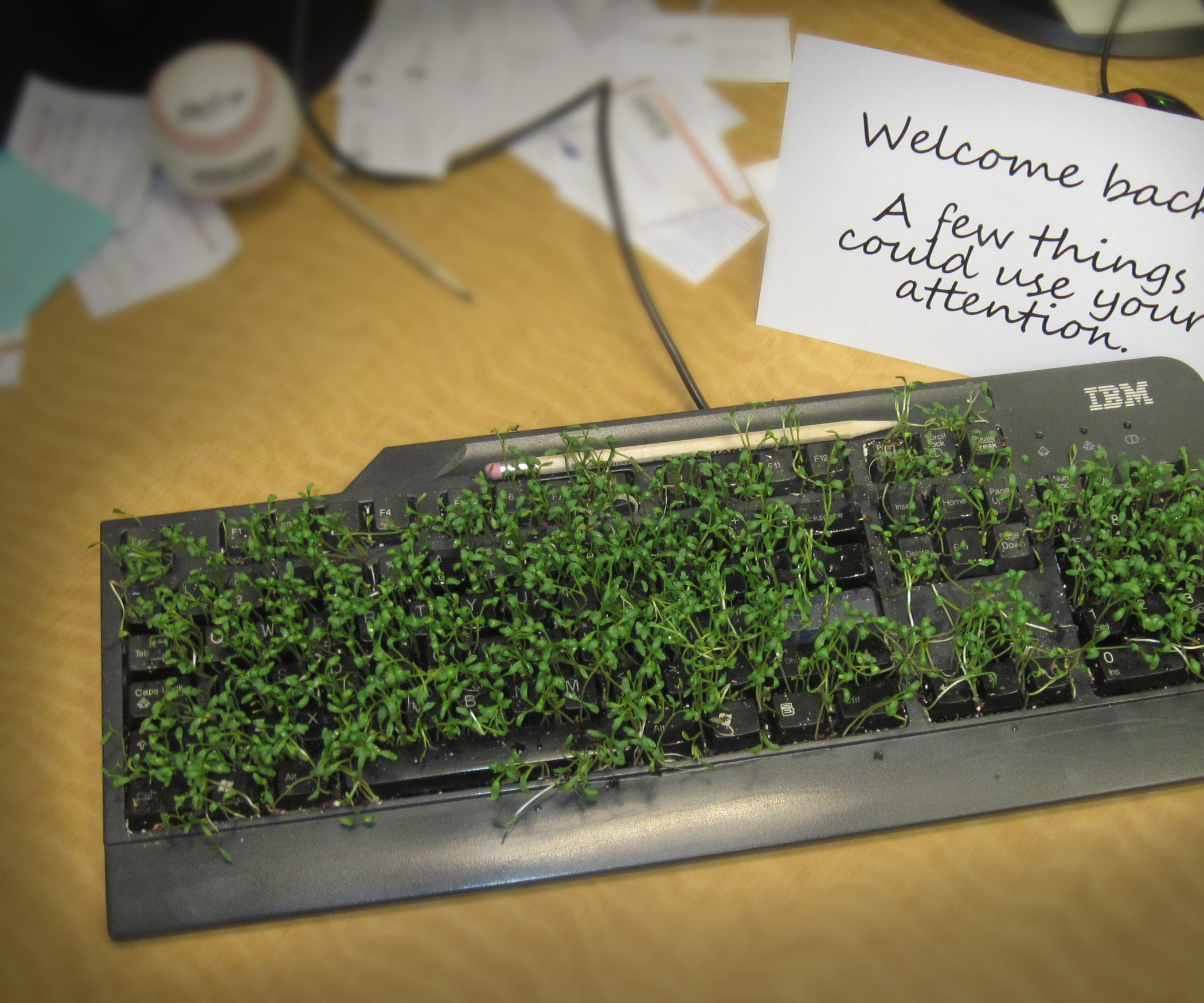 Grow a Keyboard : 10 Steps (with Pictures) - Instructables