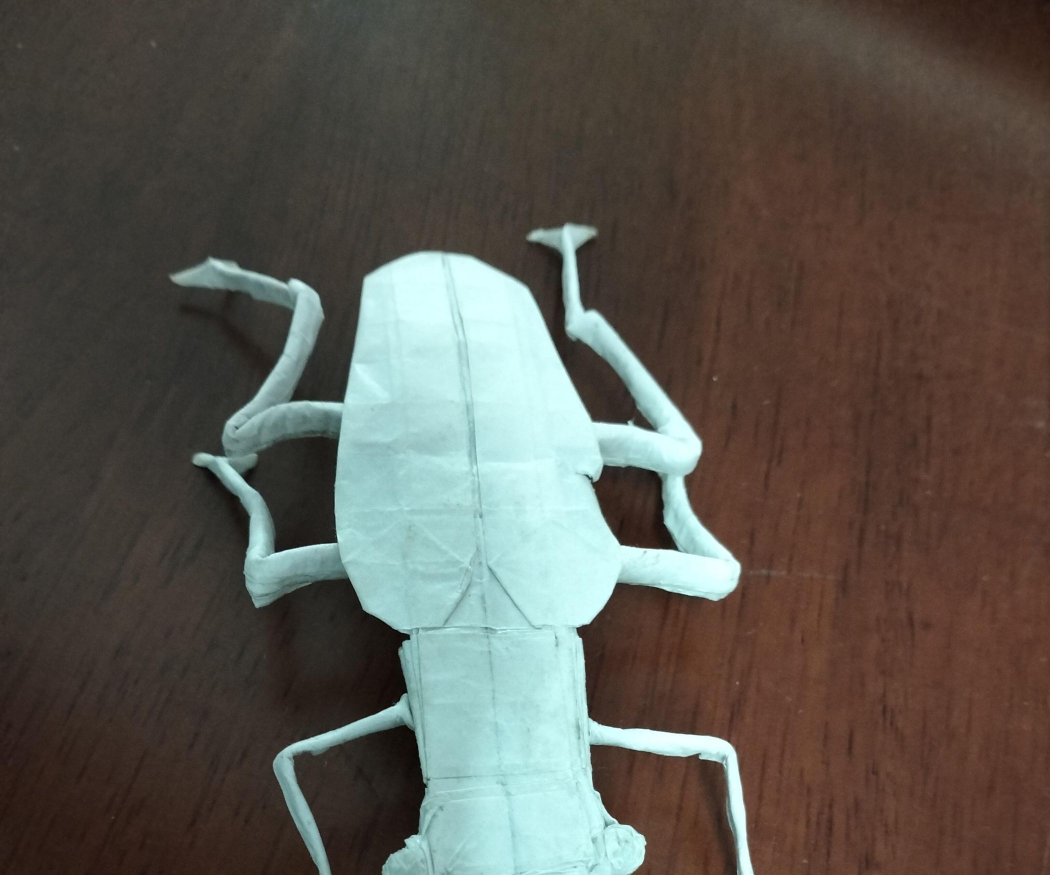 Origami Beetle : 5 Steps - Instructables