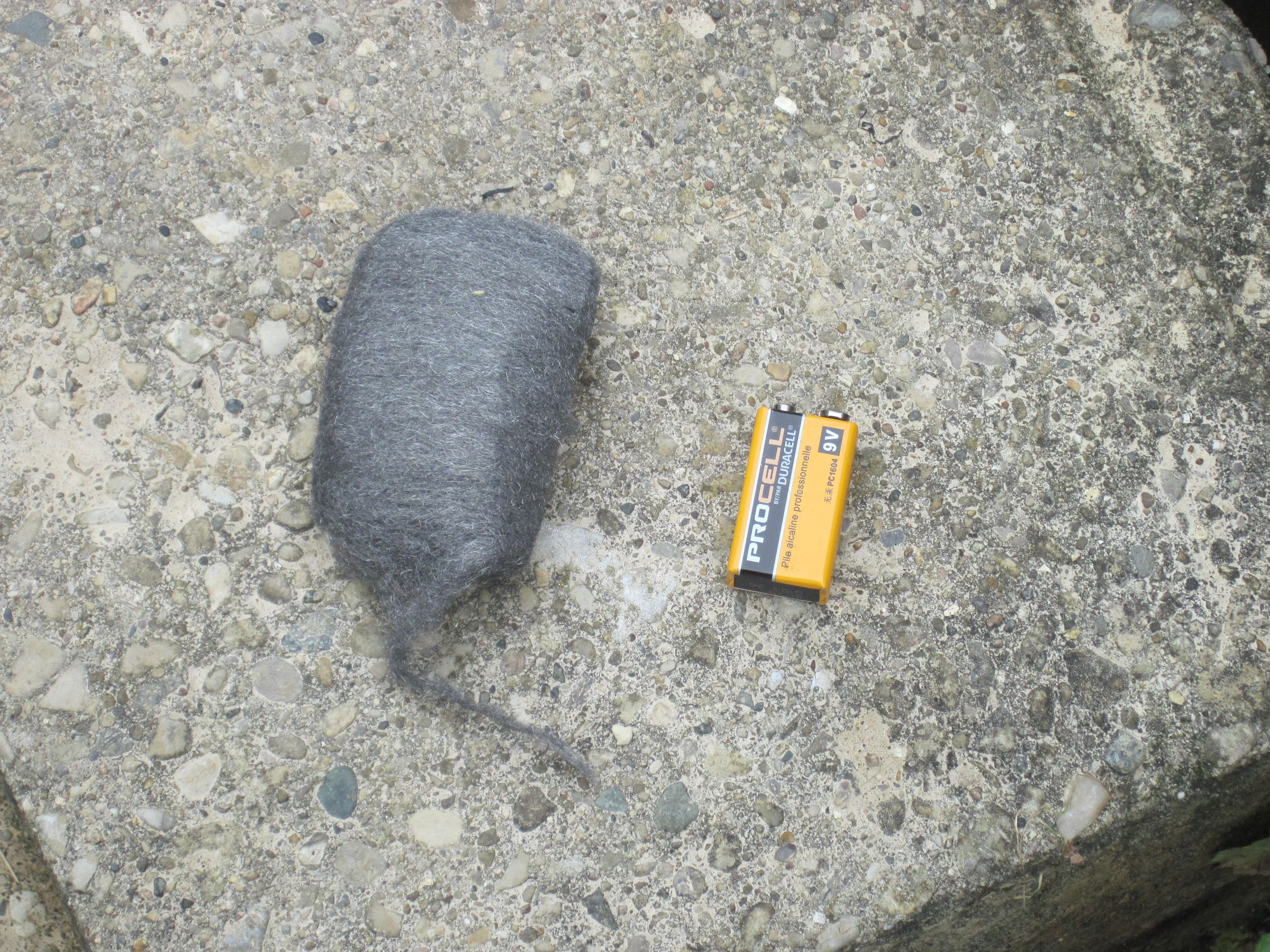 Starting a Fire With Steel Wool 4 Steps (with Pictures) Instructables