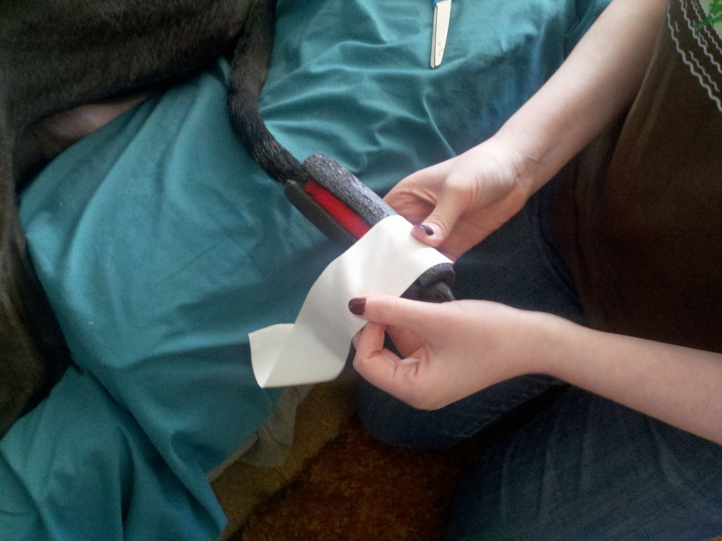 Happy Tail Solution 5 Steps Instructables