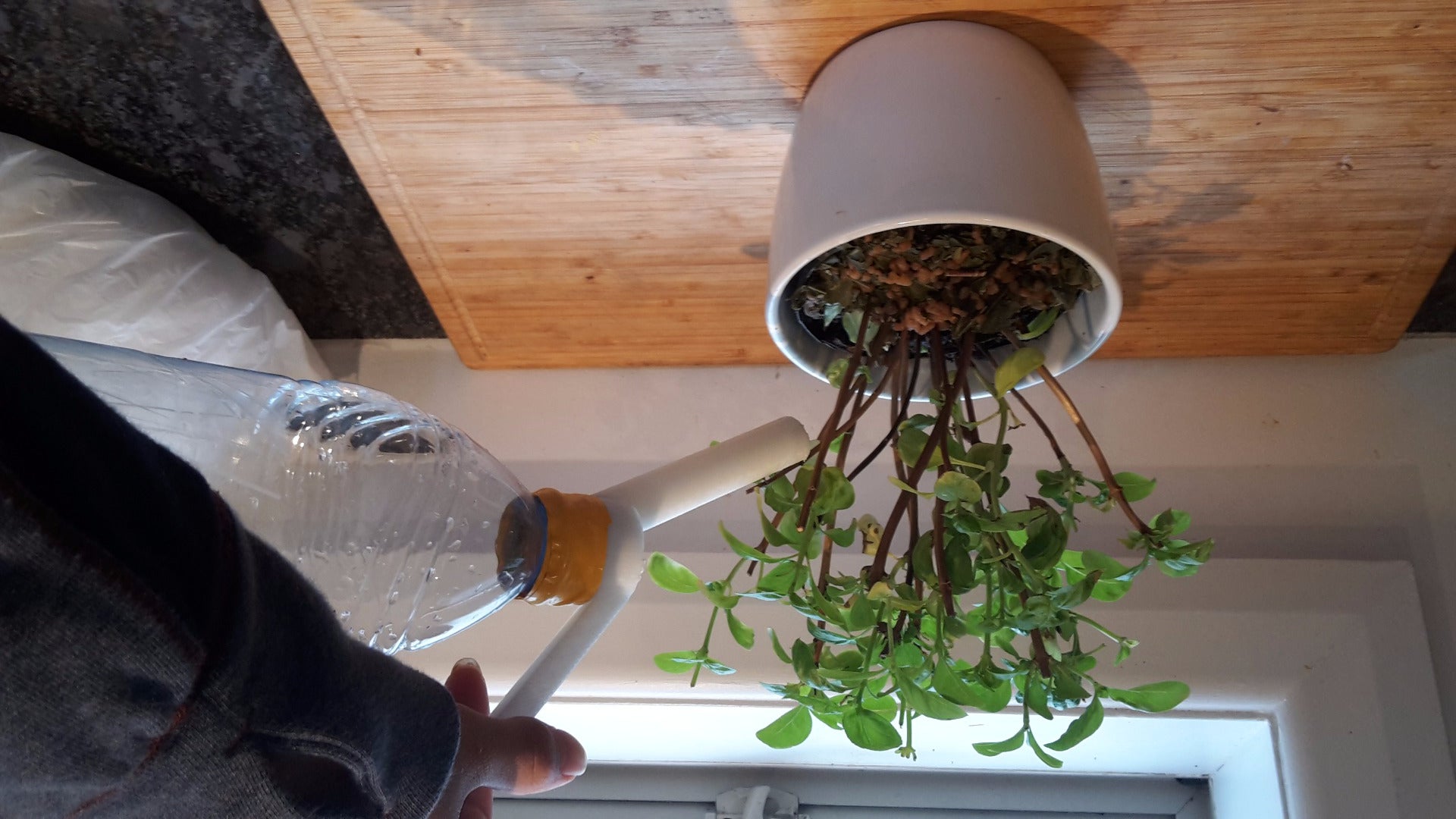 3D Printable Watering Can 3 Steps Instructables