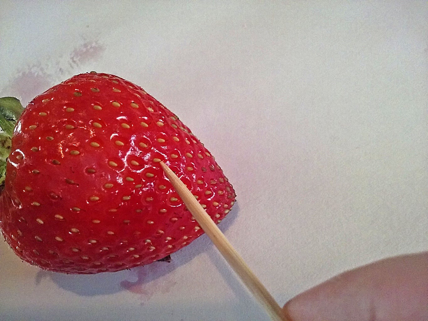 no budget strawberries 7 steps with pictures instructables