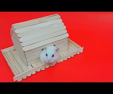 hamster popsicle house