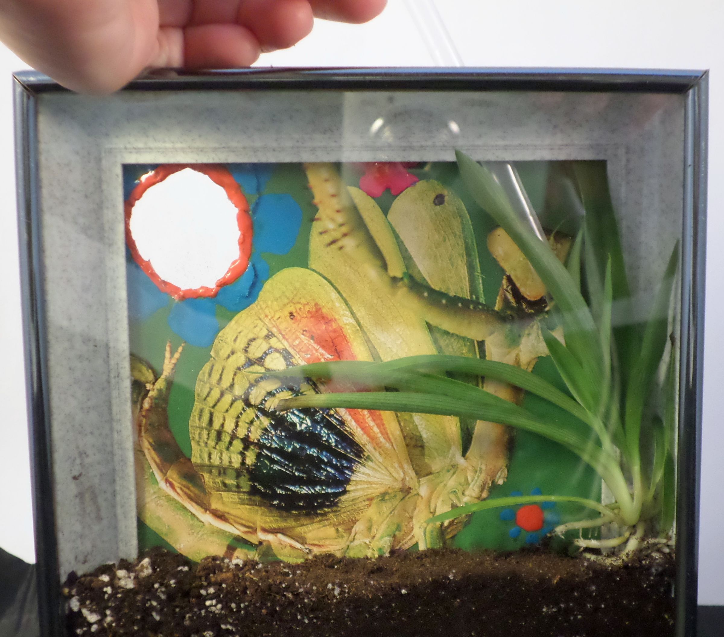 Picture Frame Terrarium 13 Steps (with Pictures) Instructables