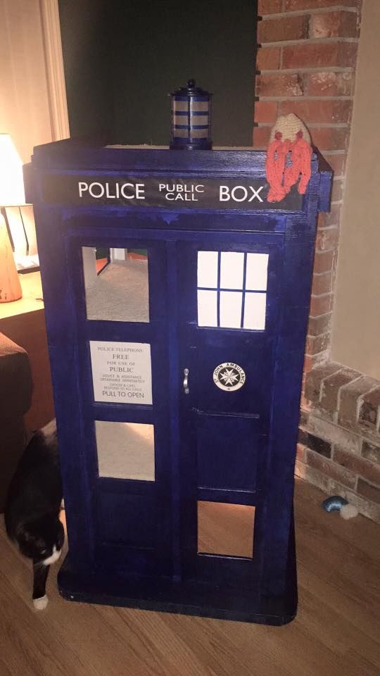 tardis cat bed