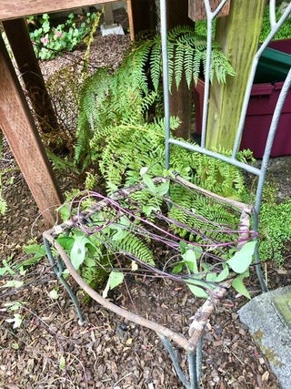 Chair Trellis For Climbing Vines 3 Steps Instructables Chair Trellis For Climbing Vines 3, Chair And Trellis