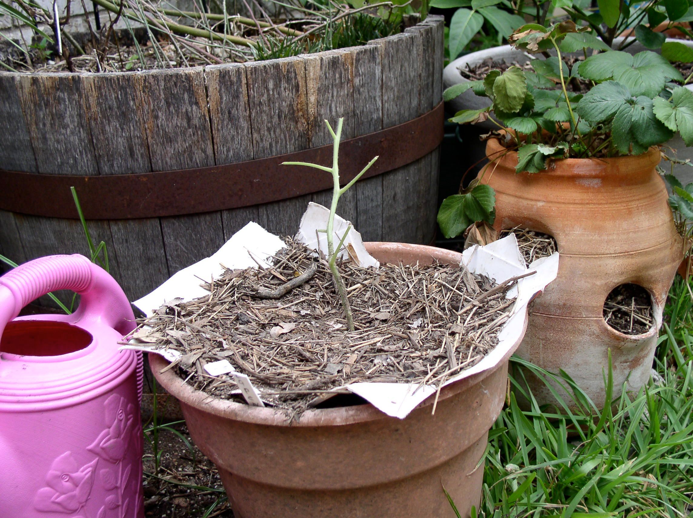 28 Upcycles for the Garden 28 Steps (with Pictures) Instructables