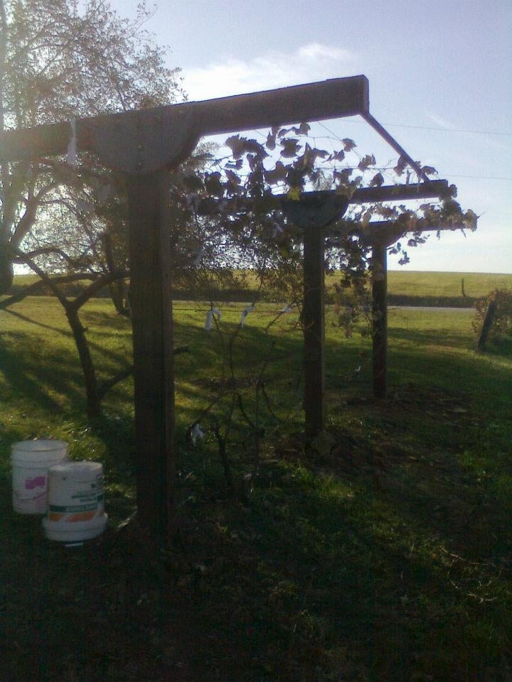 Build a Grape Trellis to Last a Lifetime 7 Steps Instructables