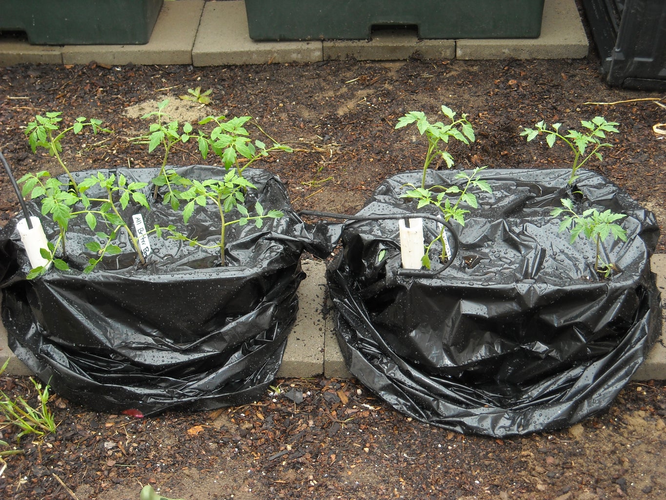 Terrahydro Boxes The Ultimate Self Watering Vegetable Container System Aka Terahydro Box Tetrahydro Box Diy Earthbox Or Diy Grow Box 9 Steps Instructables Terrahydro Boxes The Ultimate Self Watering Vegetable Container System Aka Terahydro Box Tetrahydro Box Diy Earthbox Or Diy Grow Box 9 Steps Instructables
