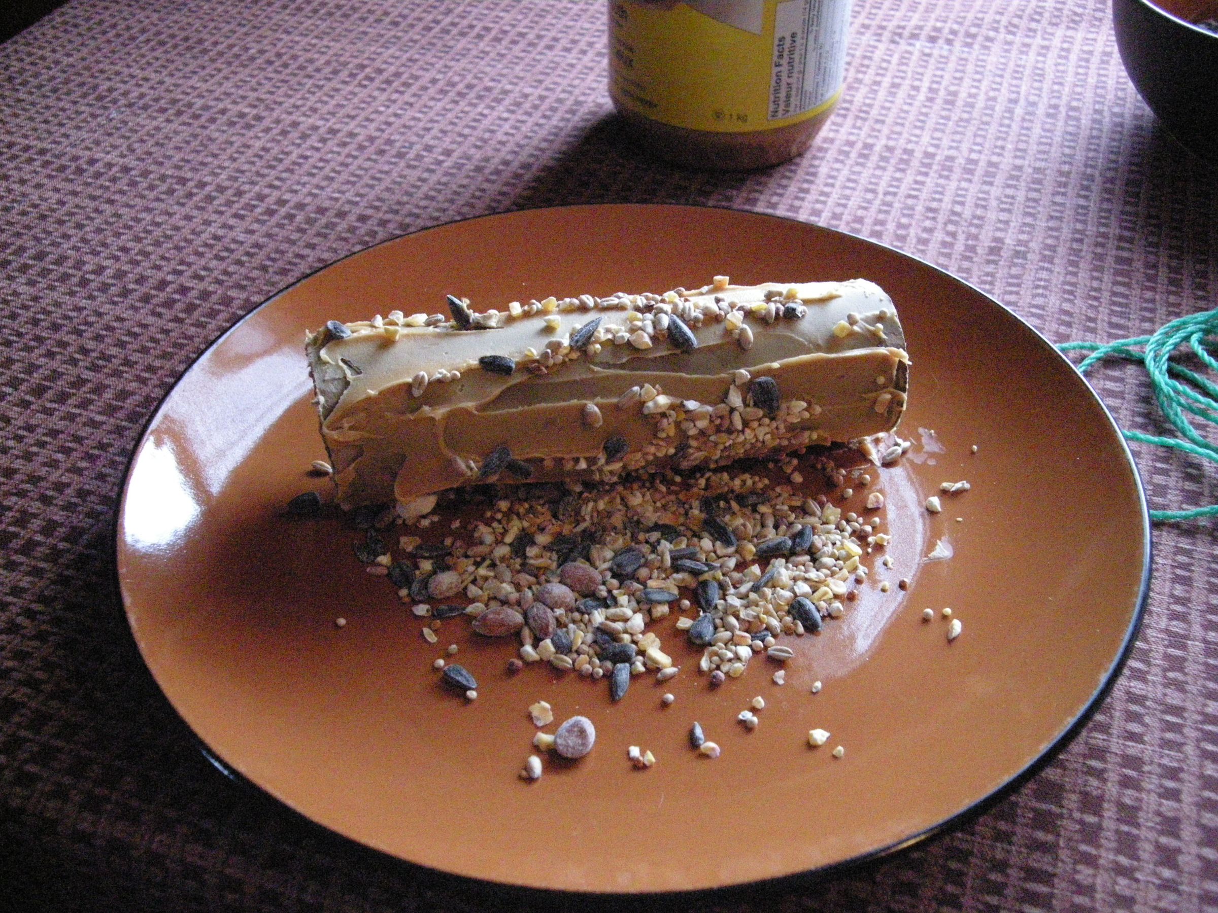 Peanut Butter Bird Feeder 3 Steps (with Pictures) Instructables