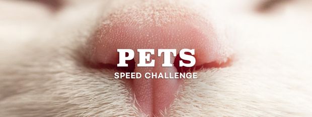 Pets Speed Challenge