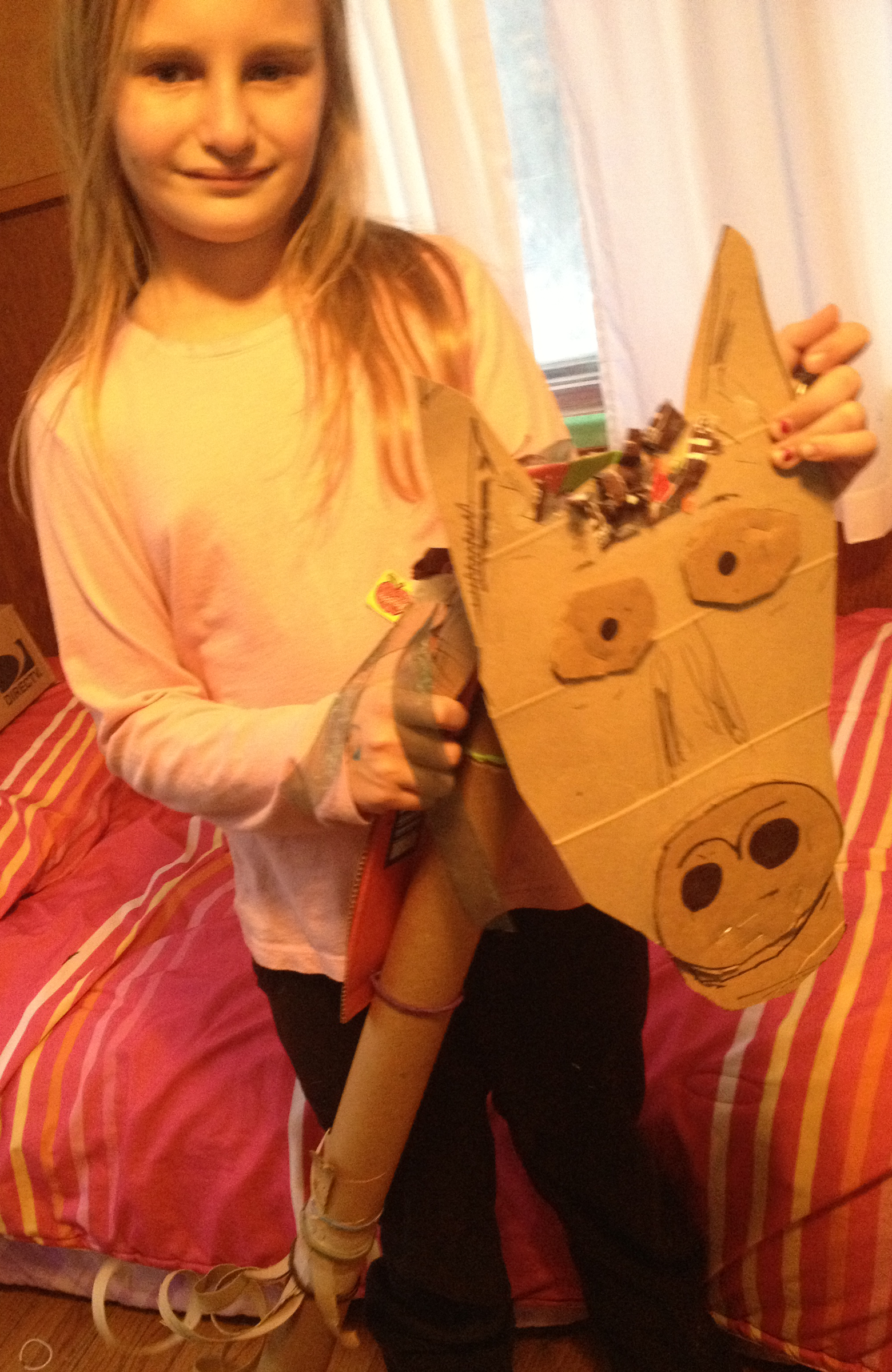 100% recycled home-made stick horse toy! DIY Project DIY Project Image