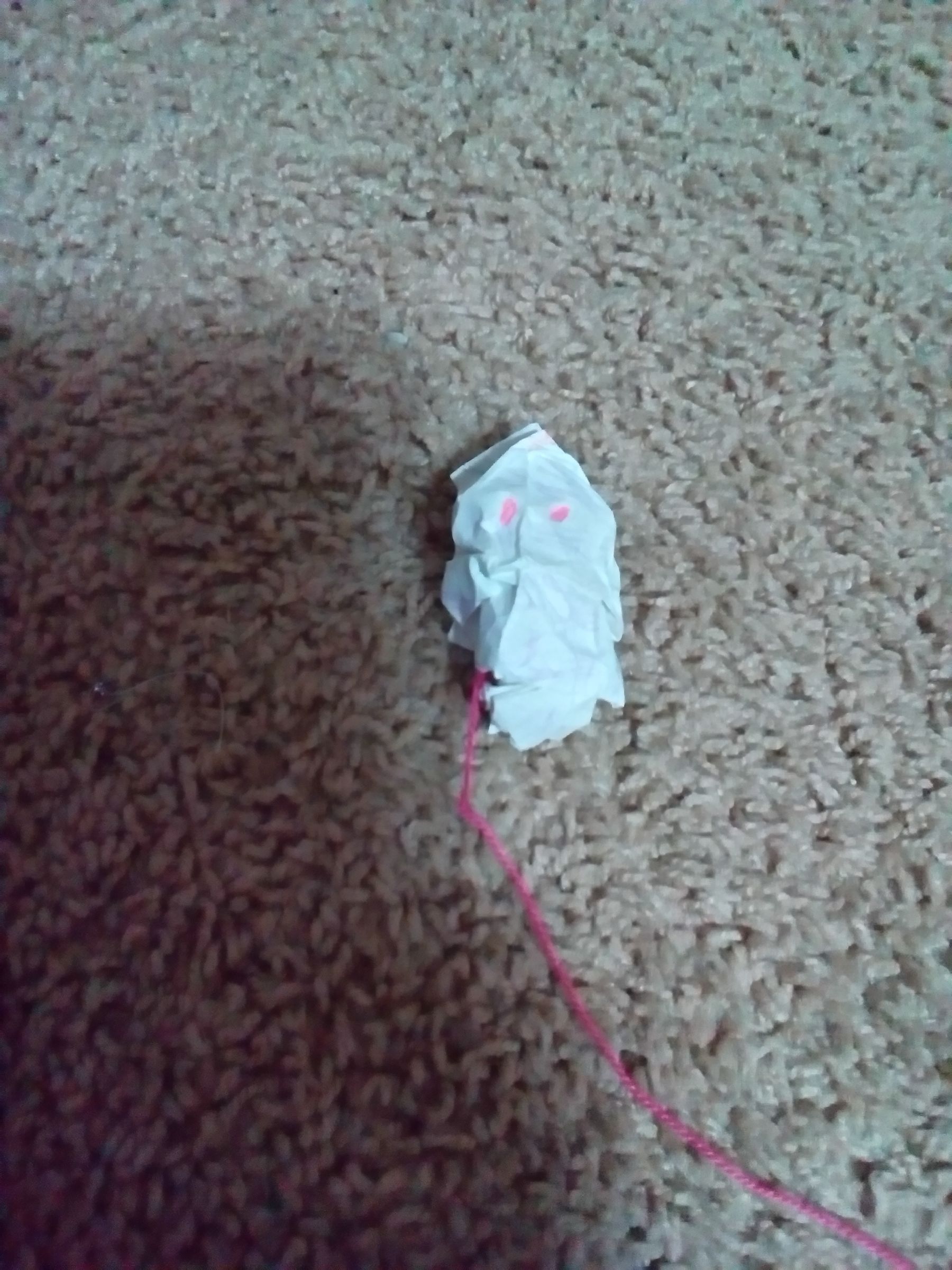 mouse cat toy DIY Project DIY Project Image