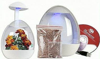 DIY guide for How To Make a USB Greenhouse with step-by-step instructions
