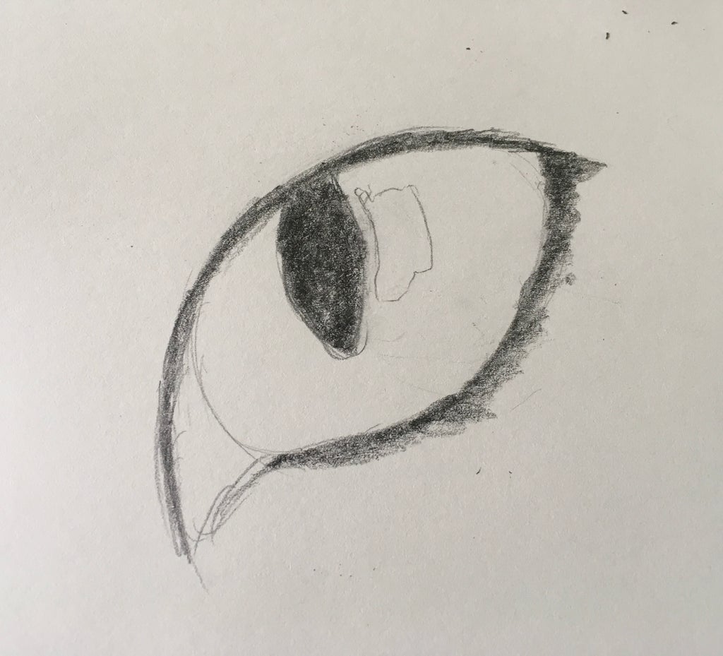 How To Draw A Cat Eye 7 Steps With Pictures Instructables