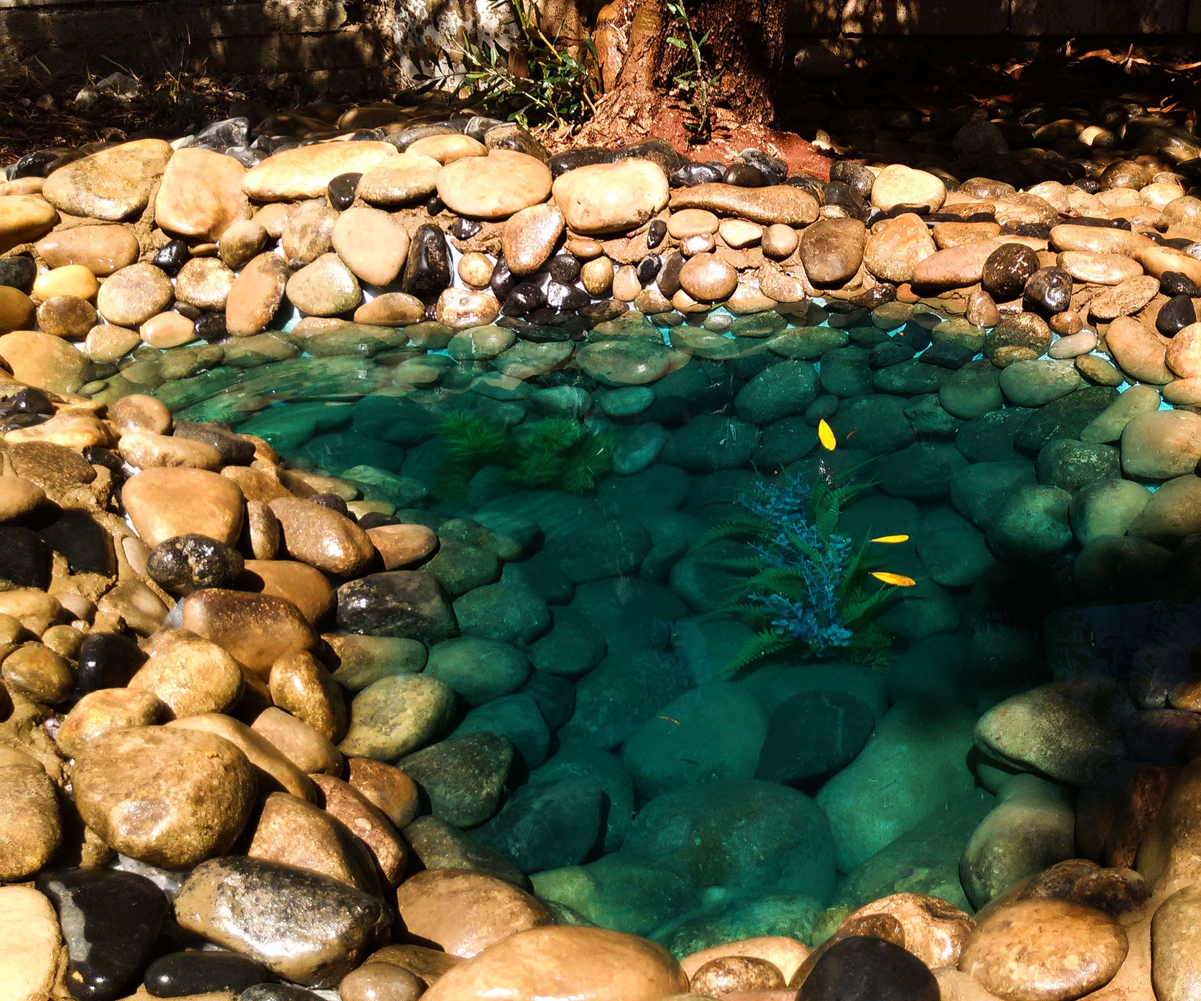 How To Make A Zen Pond 10 Steps Instructables how to make a zen pond 10 steps