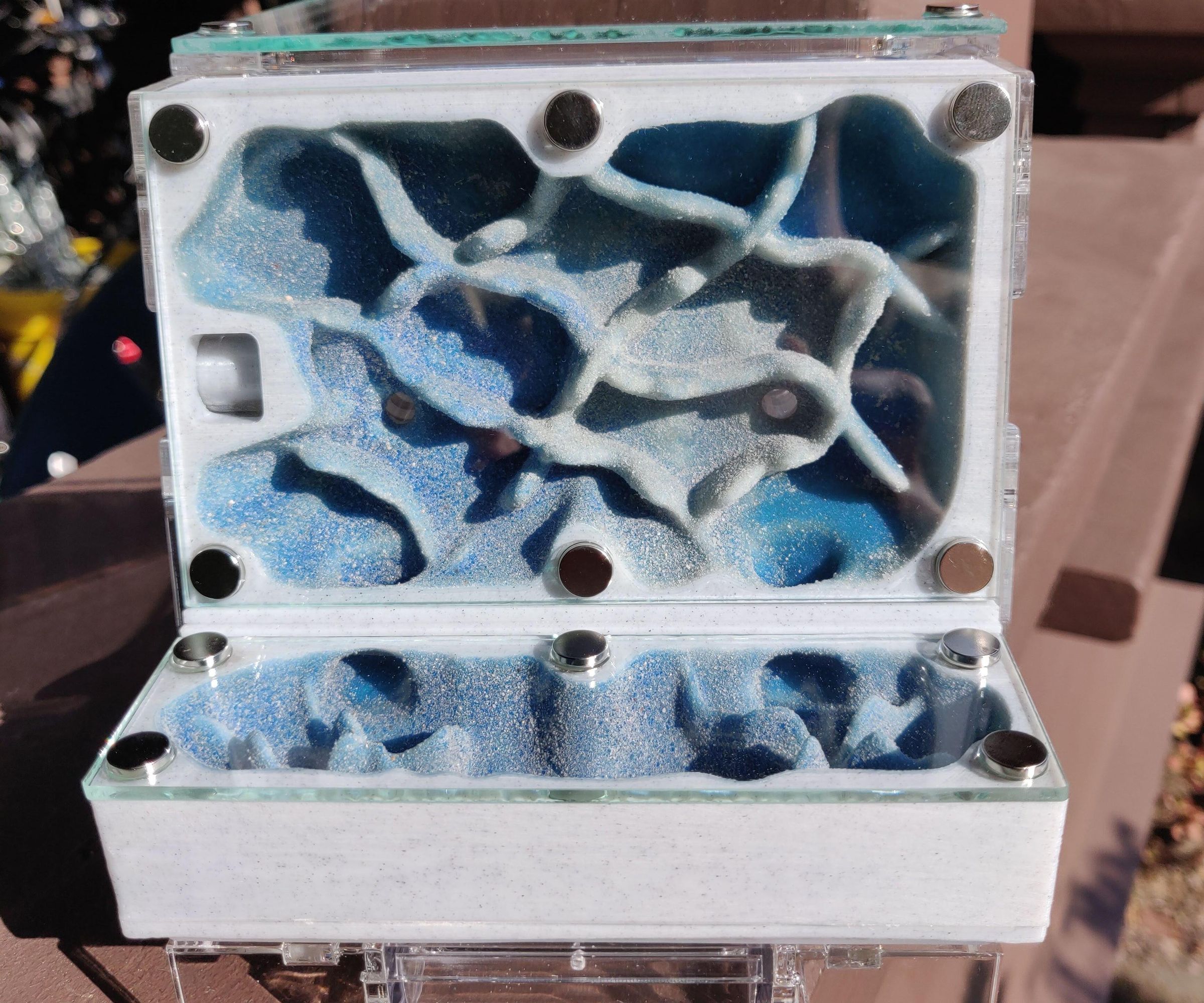 Medium Modular Formicarium (Ant Farm)