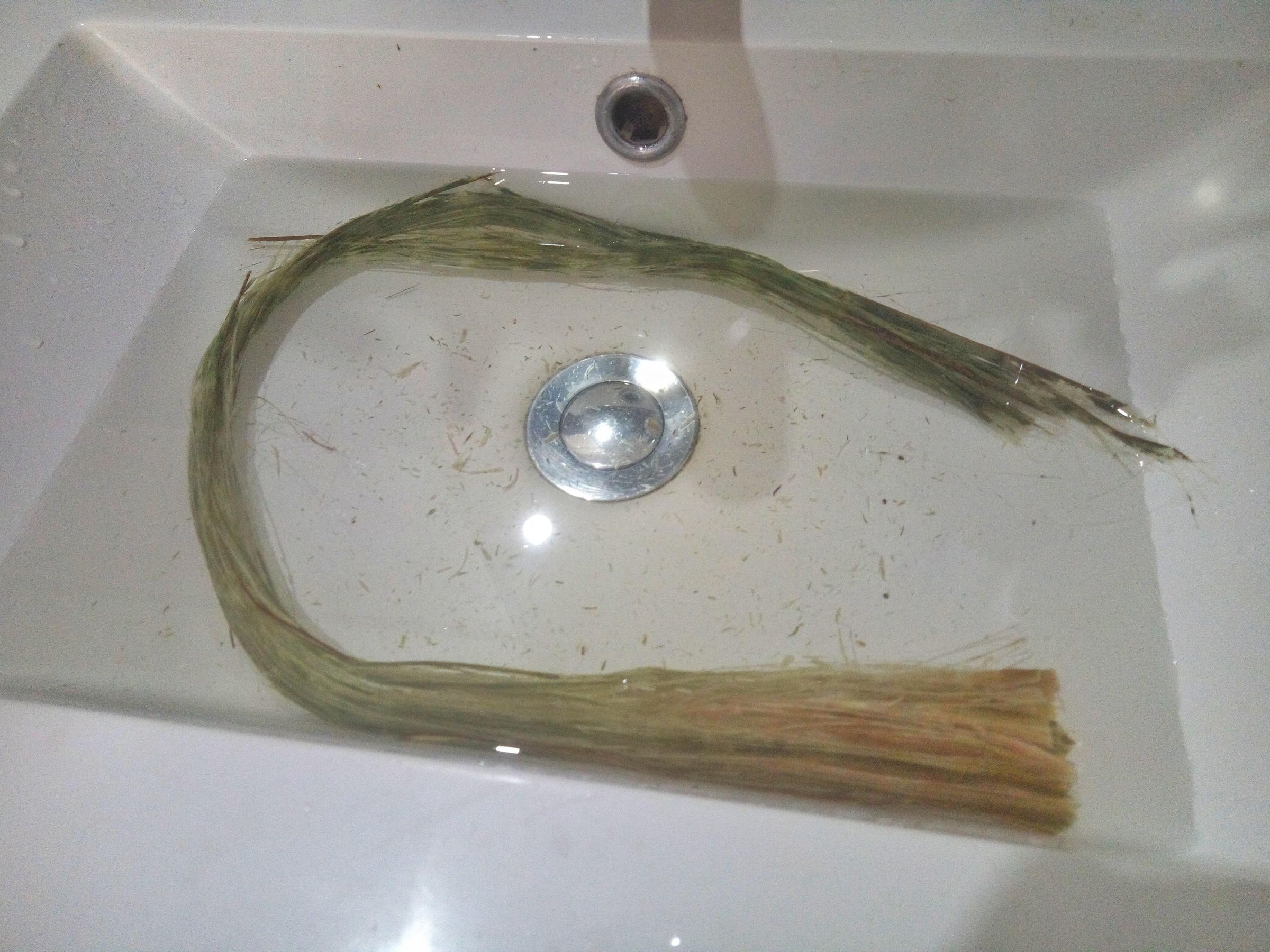 How to Make Rope / String With Natural Plant Fibers 6 Steps (with