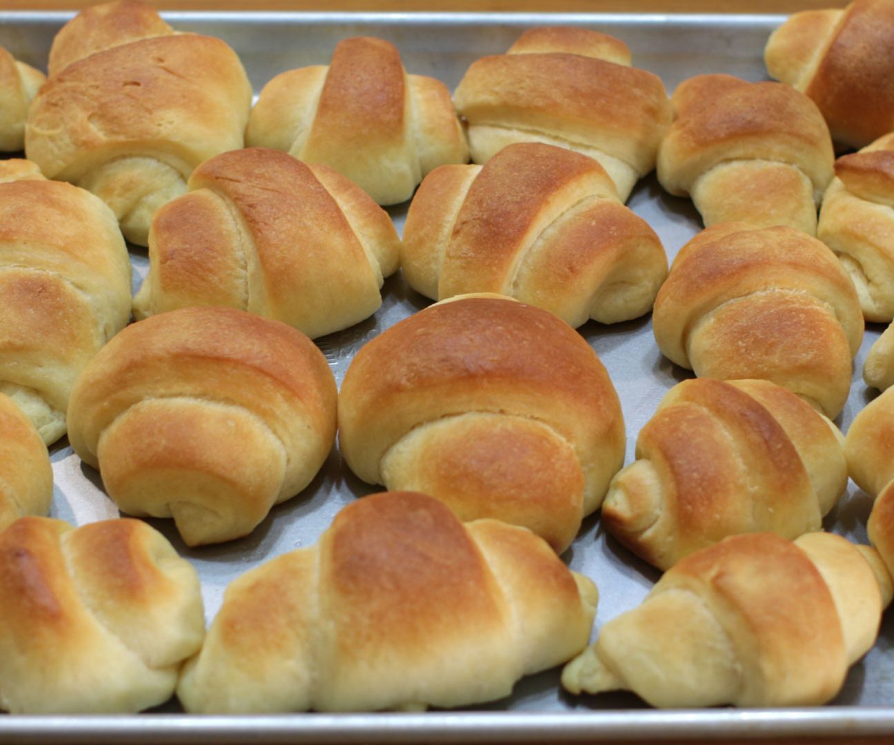 Soft Buttery No-Knead Dinner Rolls
