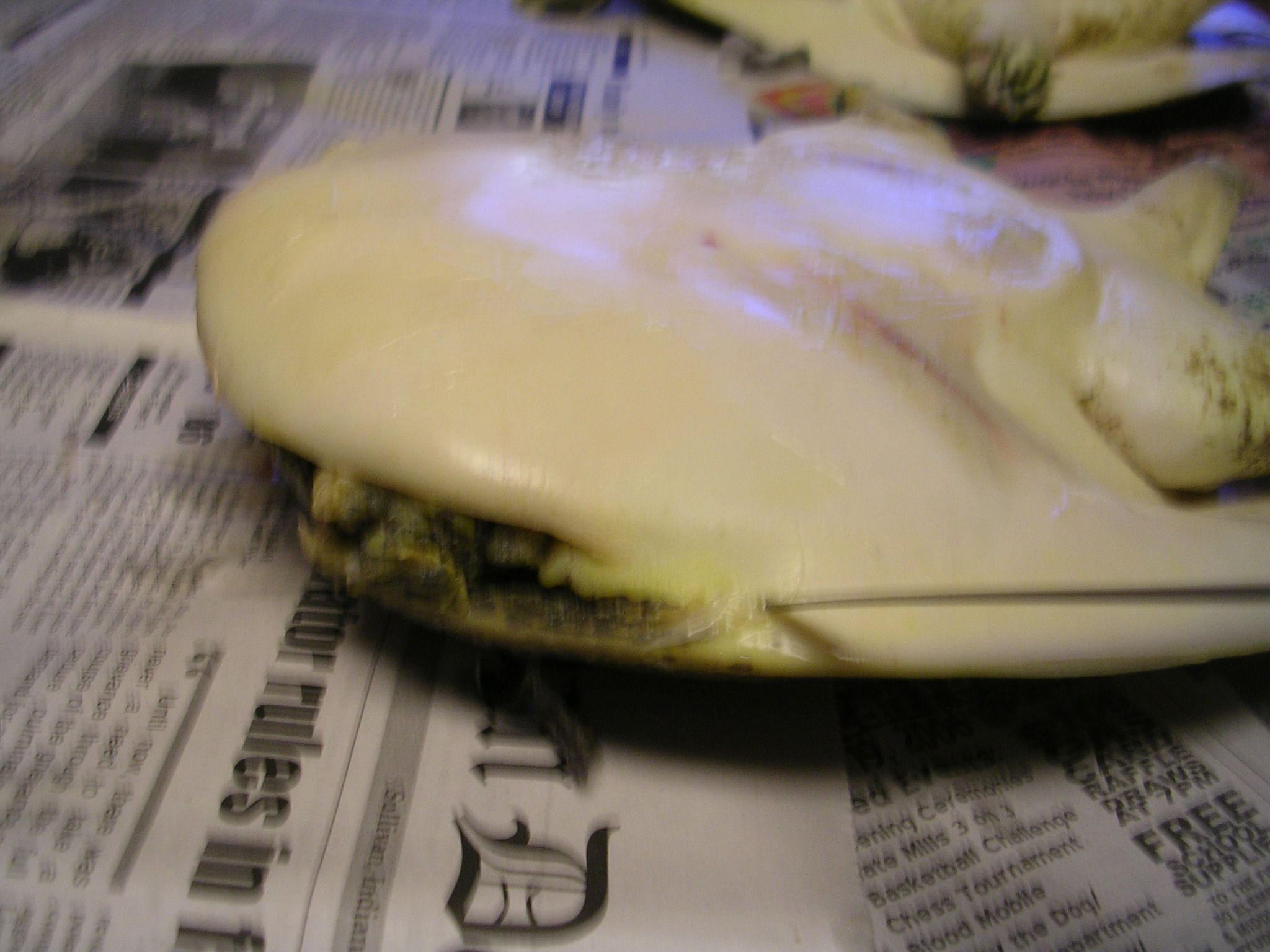 How to Clean a Turtle 4 Steps Instructables
