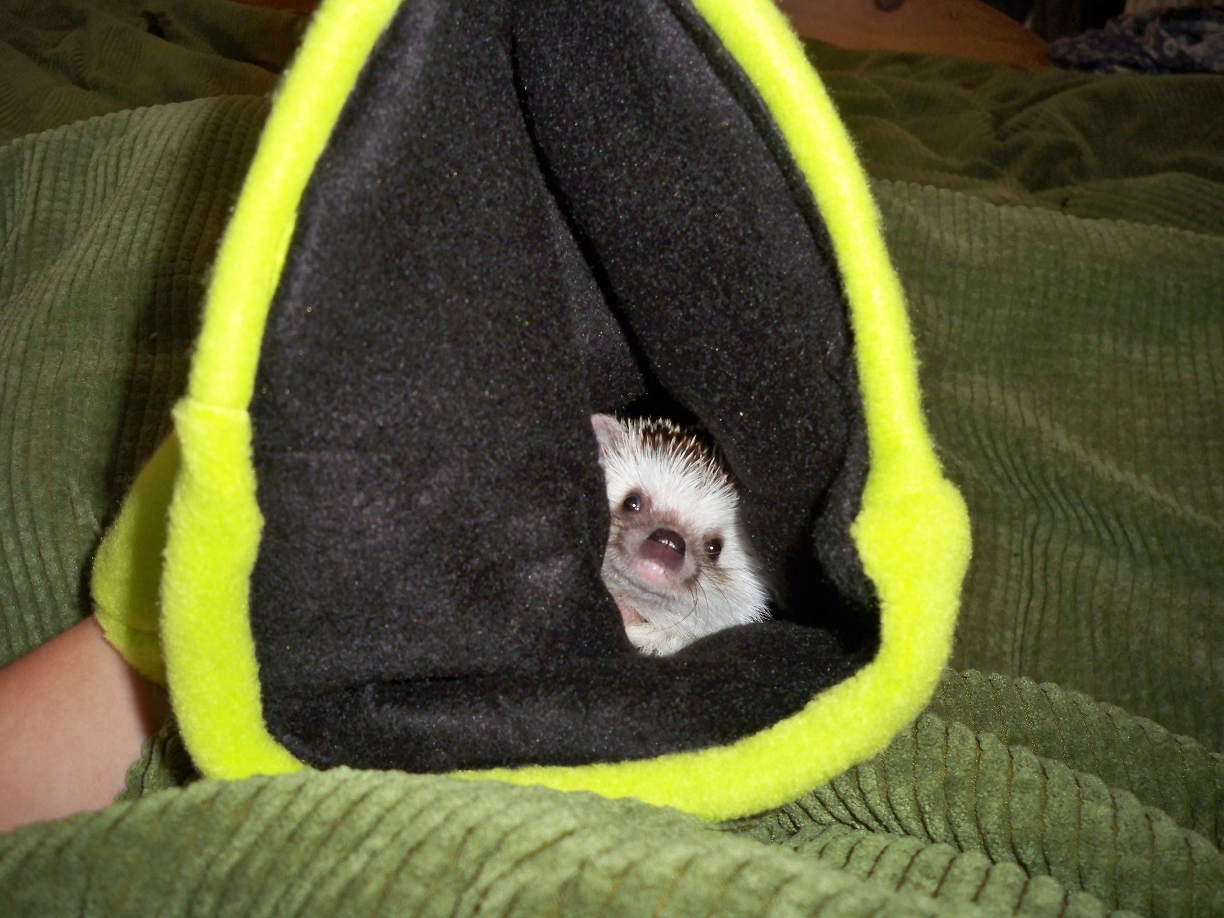 Reversable Hedgehog Snuggle Bag 5 Steps (with Pictures) Instructables