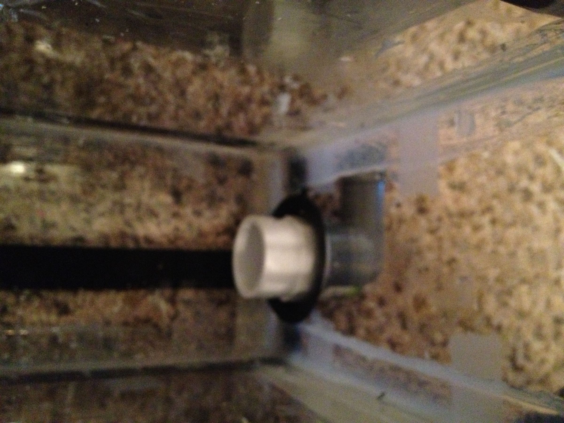 Algae Scrubber DIY 12 Steps Instructables